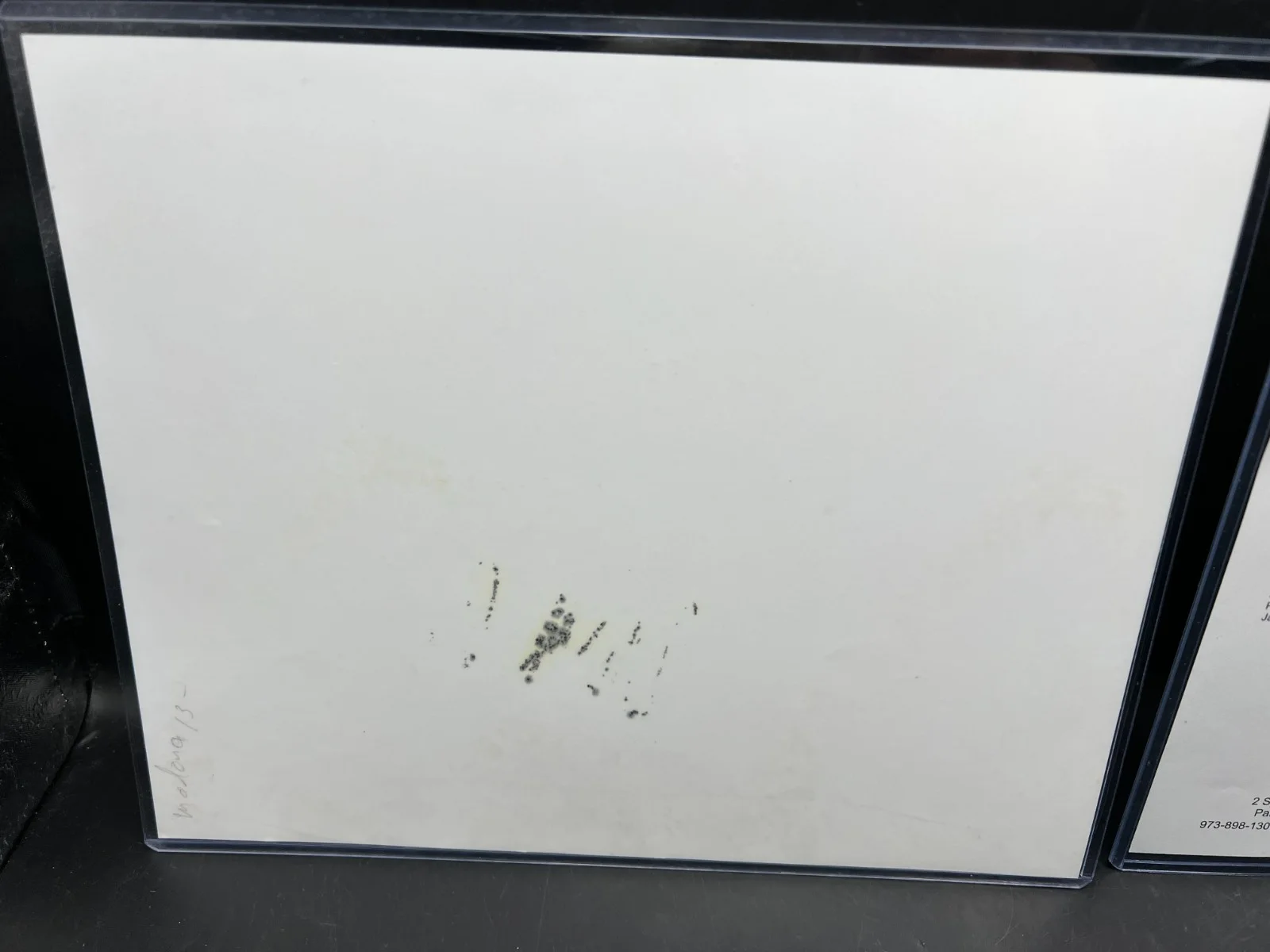 Madonna Signed Autograph 8x10" Cherish Music Video Vintage Photo JSA LOA, изображение 4