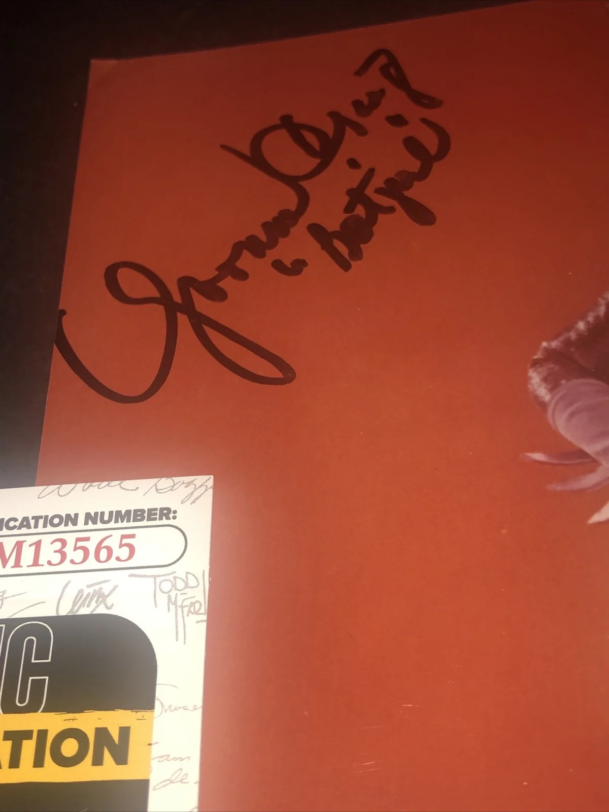 Yvonne Craig — JSA Autographed Yvonne Craig Hand Signed 8x10 Photo Batman Batgirl, изображение 2