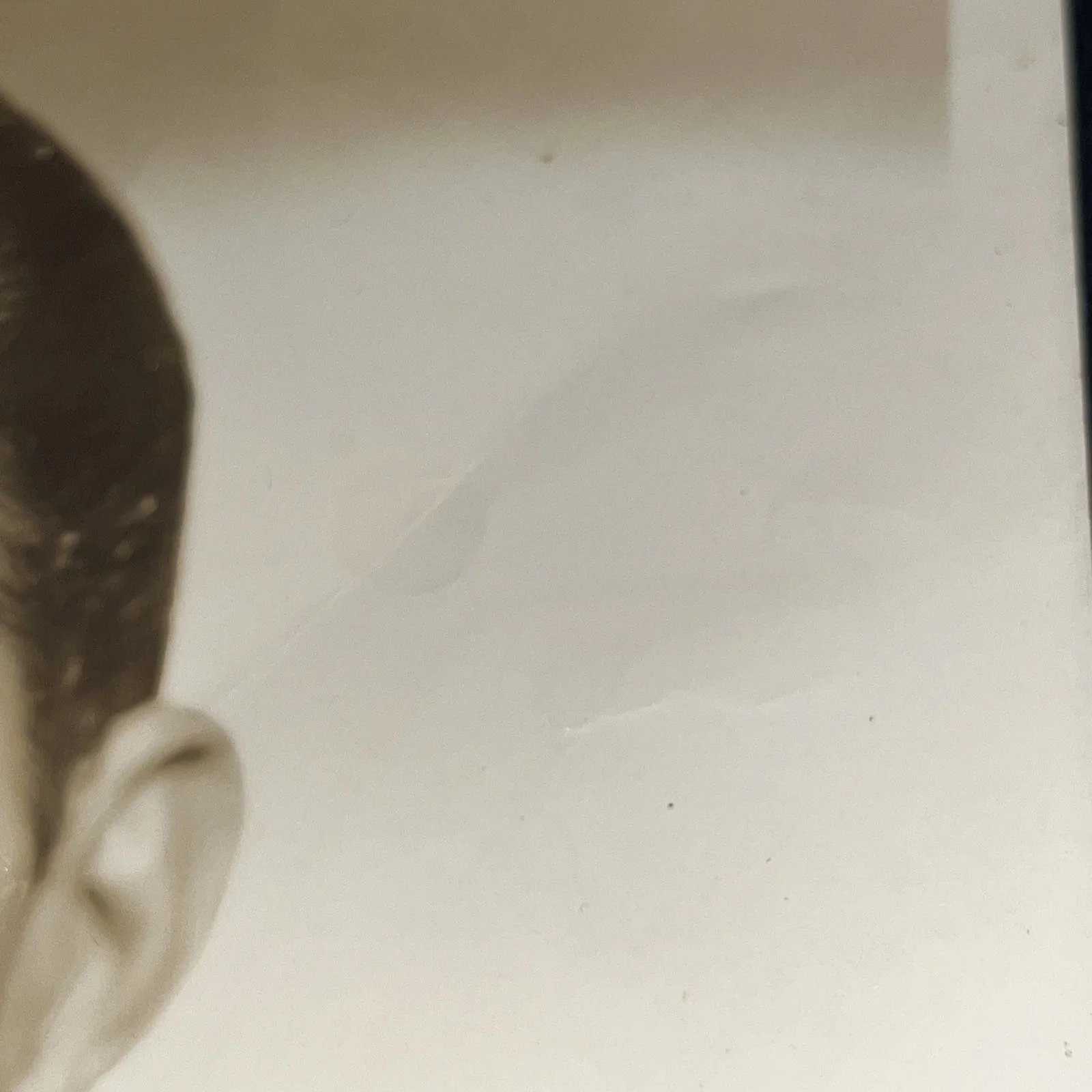 Frank Sinatra — SIGNED 1940s Young FRANK SINATRA HeadShot by James Krigsman - 8x10 Glossy Photo, изображение 5