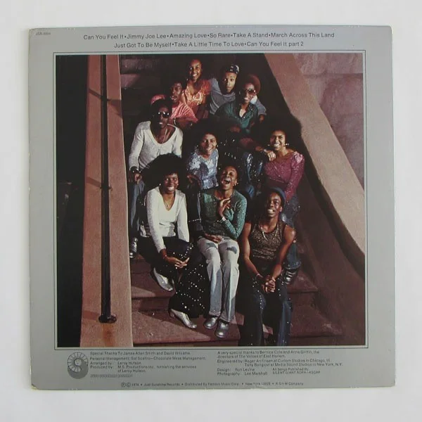 The Voices Of East Harlem - Can You Feel It (1974 US Original) [LP], изображение 2