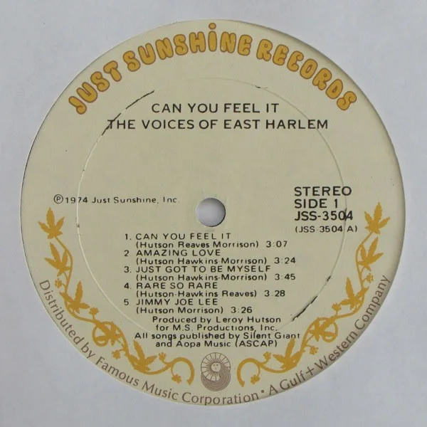 The Voices Of East Harlem - Can You Feel It (1974 US Original) [LP], изображение 3