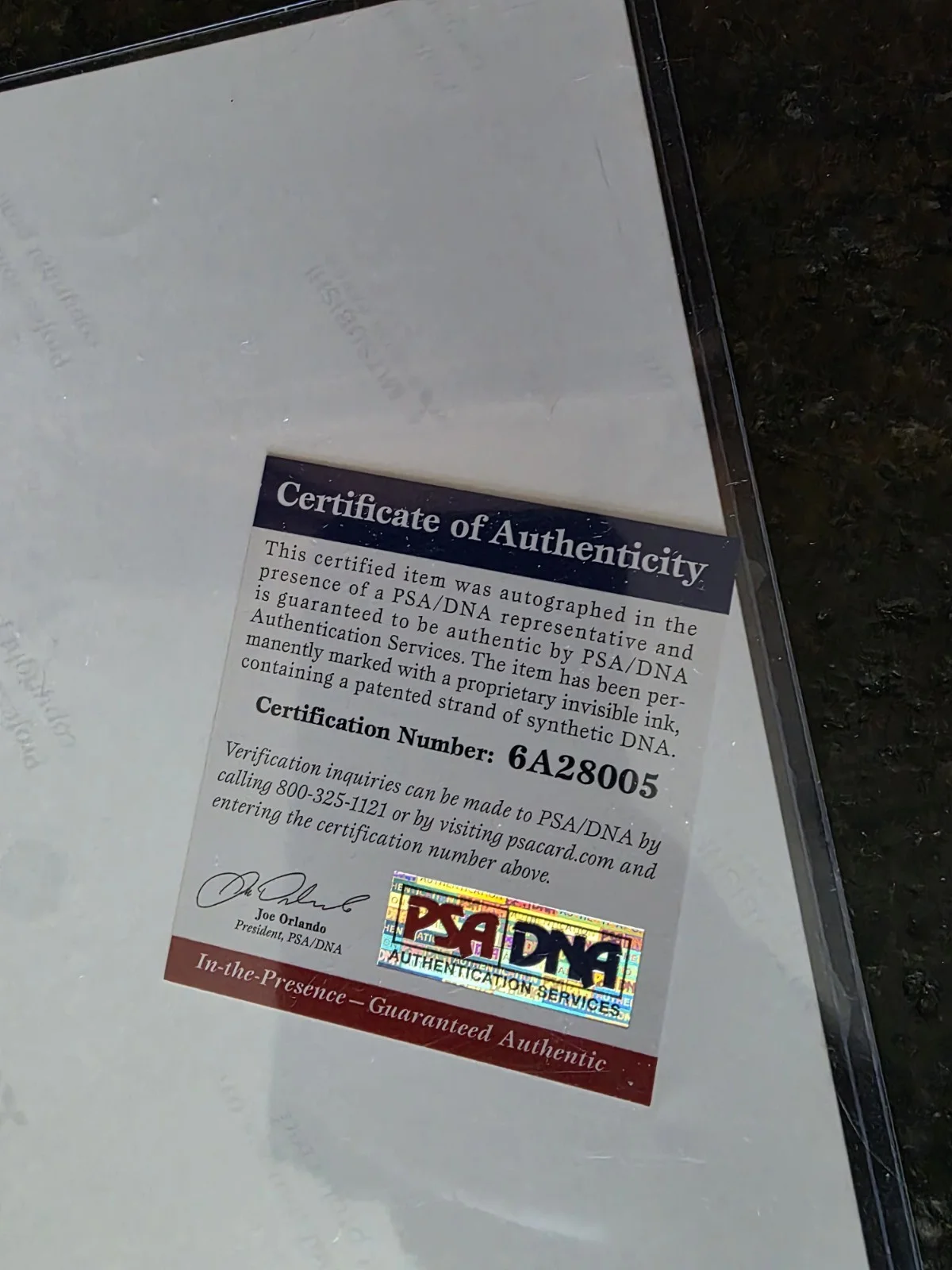 Stan Lee Spider-Man Signed 8x10 Photo Auto PSA/DNA COA, image 4