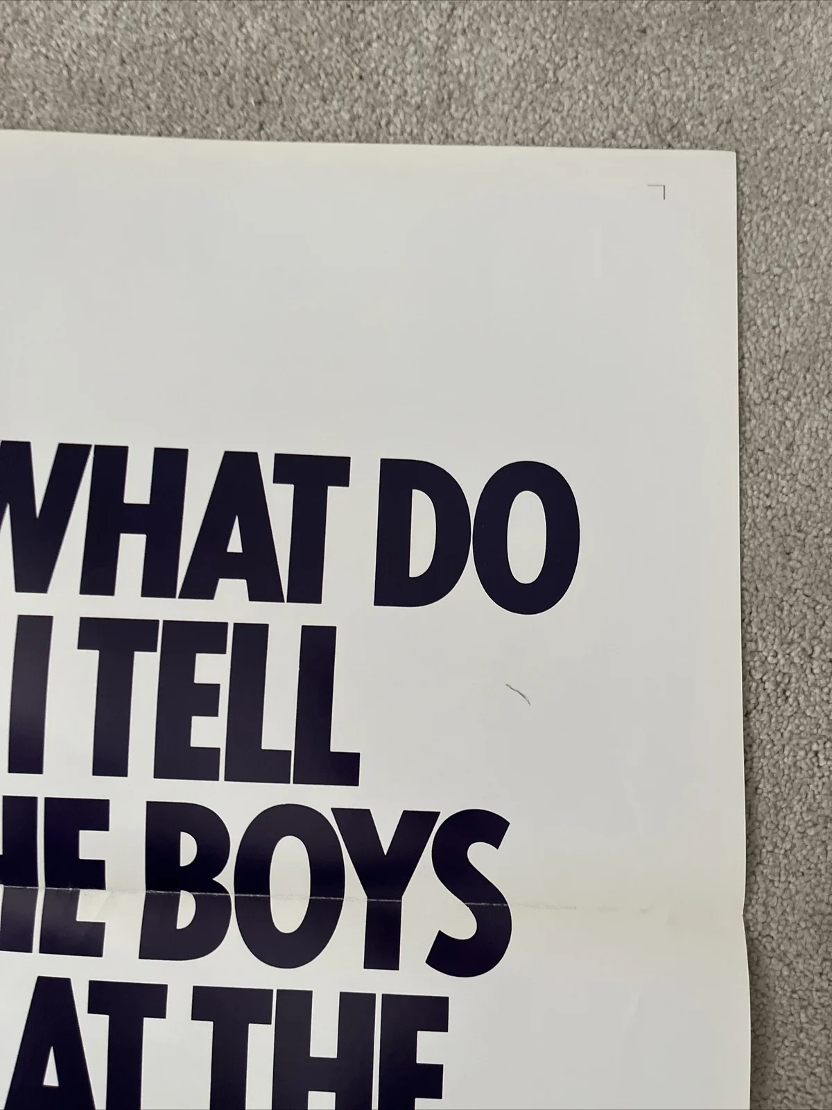 What Did I Tell The Boys At The Station (1972) Original US One Sheet Poster, изображение 4
