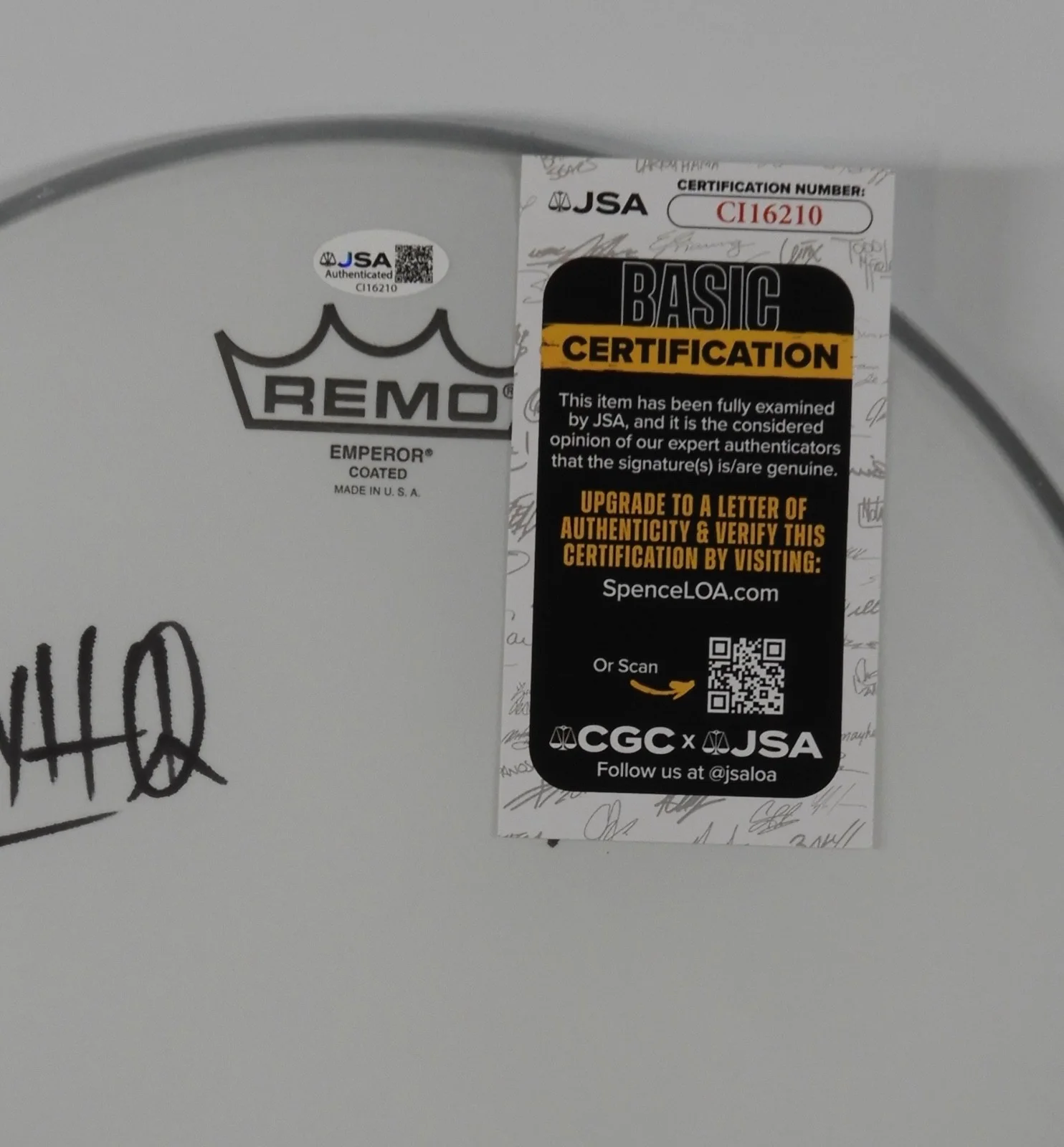 The Gaslight Anthem JSA FULLY Signed Autograph 12" Drumhead Drum Head, image 2
