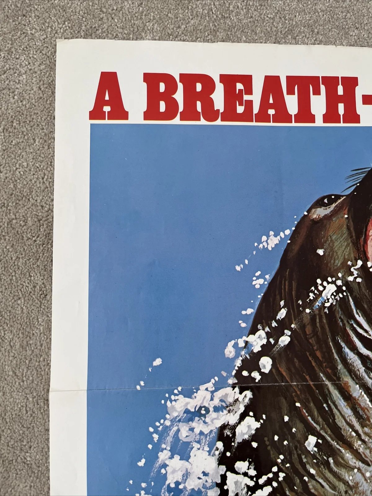 Instinct For Survival (1972) Original US One Sheet Movie Poster, image 2