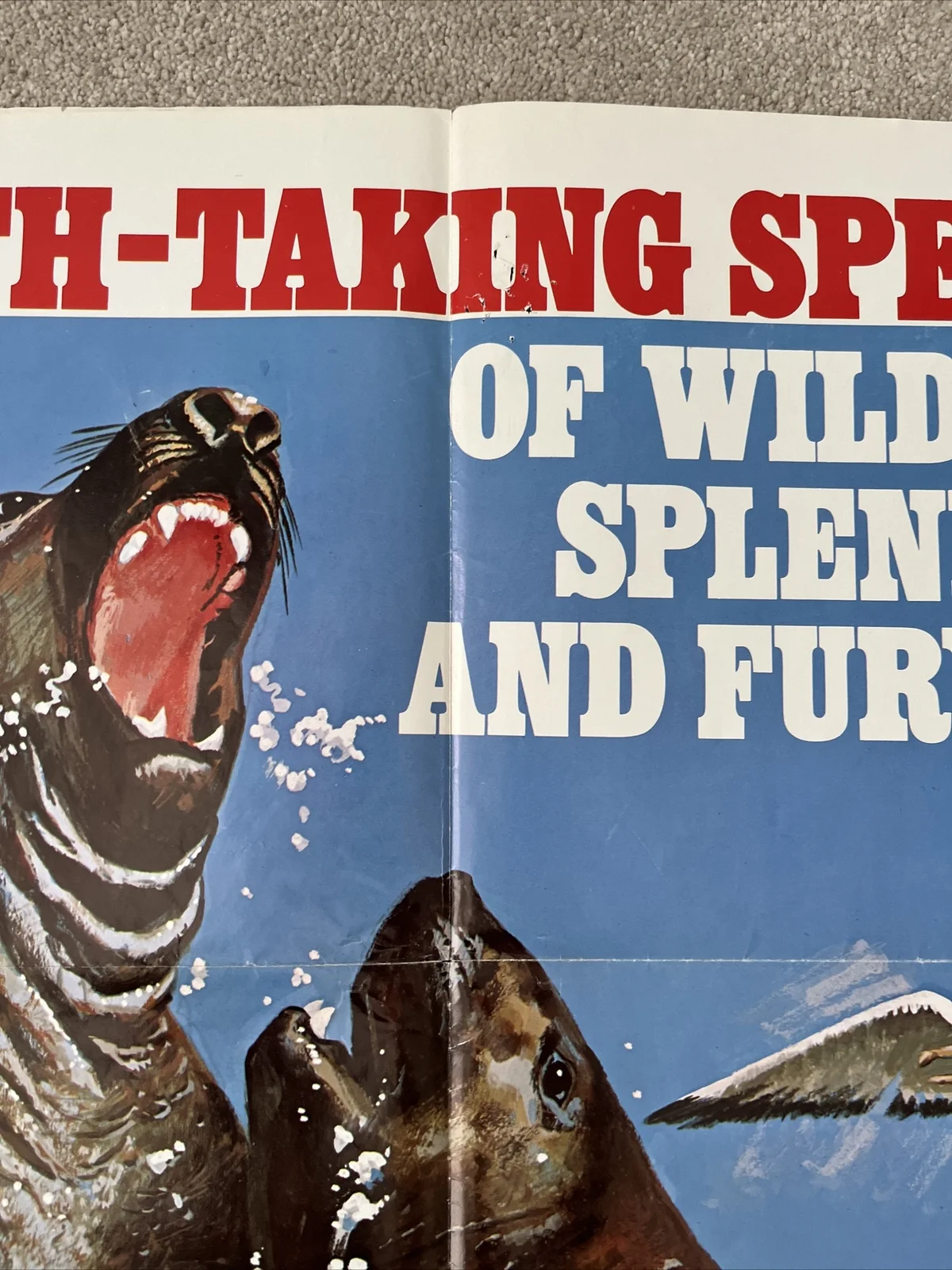 Instinct For Survival (1972) Original US One Sheet Movie Poster, image 3