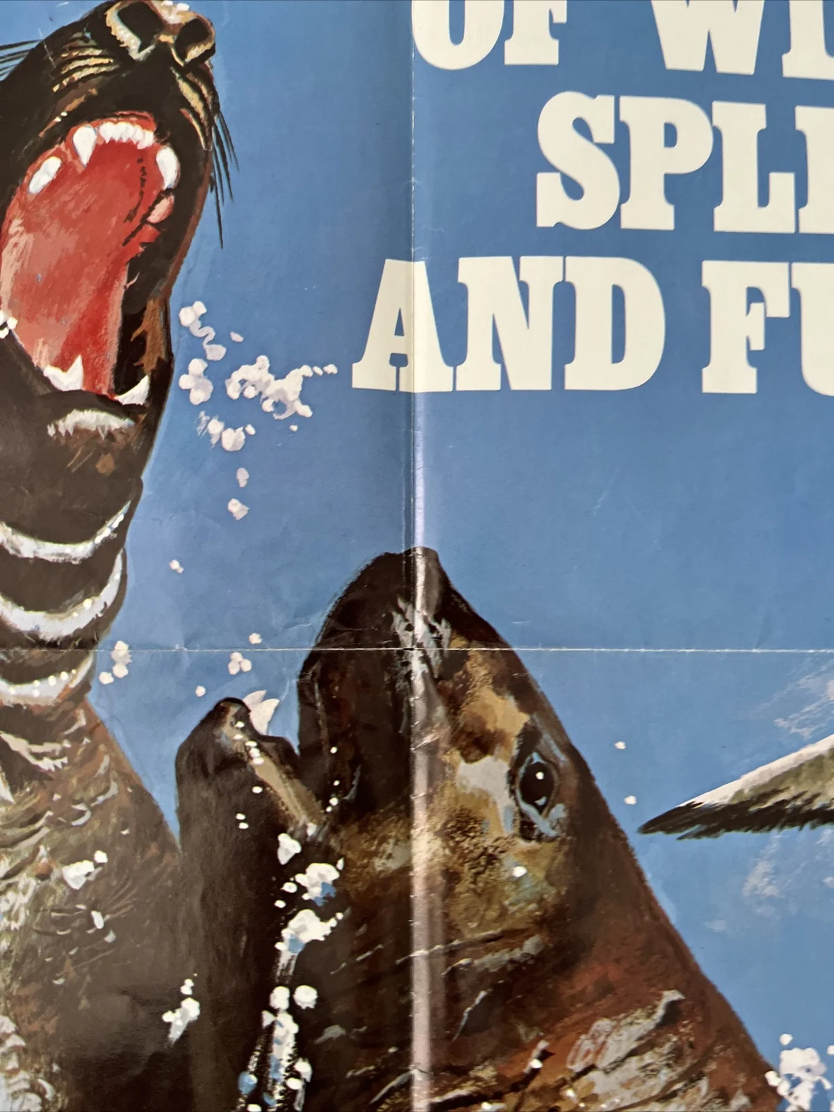 Instinct For Survival (1972) Original US One Sheet Movie Poster, image 5