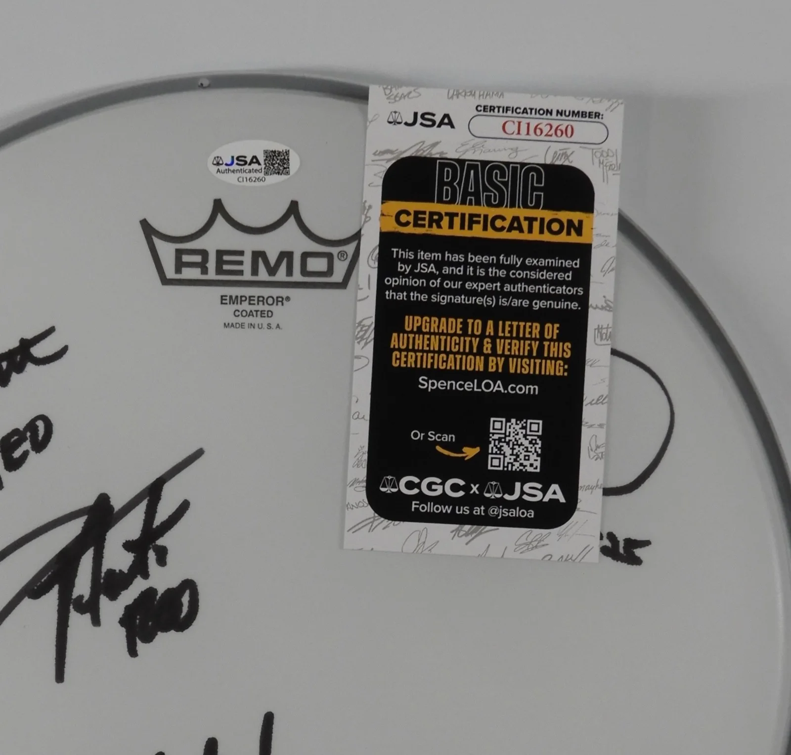 REO Speedwagon JSA Signed Autograph 12" Drumhead Drum Head, image 2