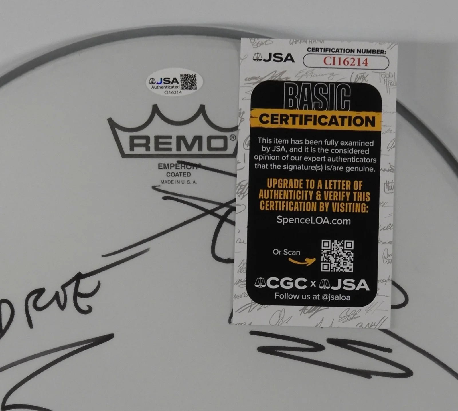 Corrosion Of Conformity JSA Signed Autograph 12" Drumhead Drum Head, image 2