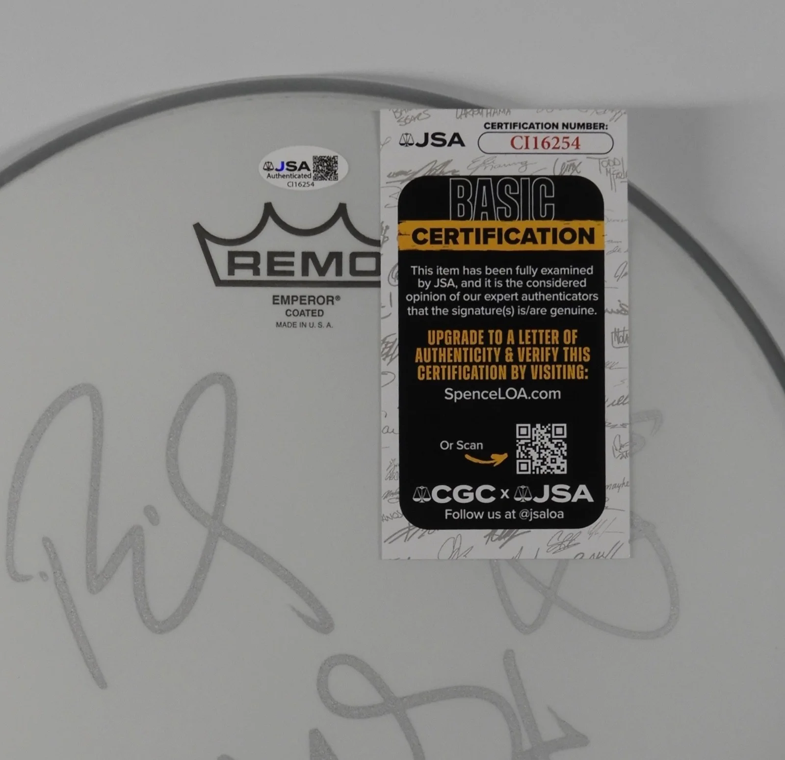 Billy Idol Steve Stevens Autograph Signed Drum Head JSA COA 12", image 2