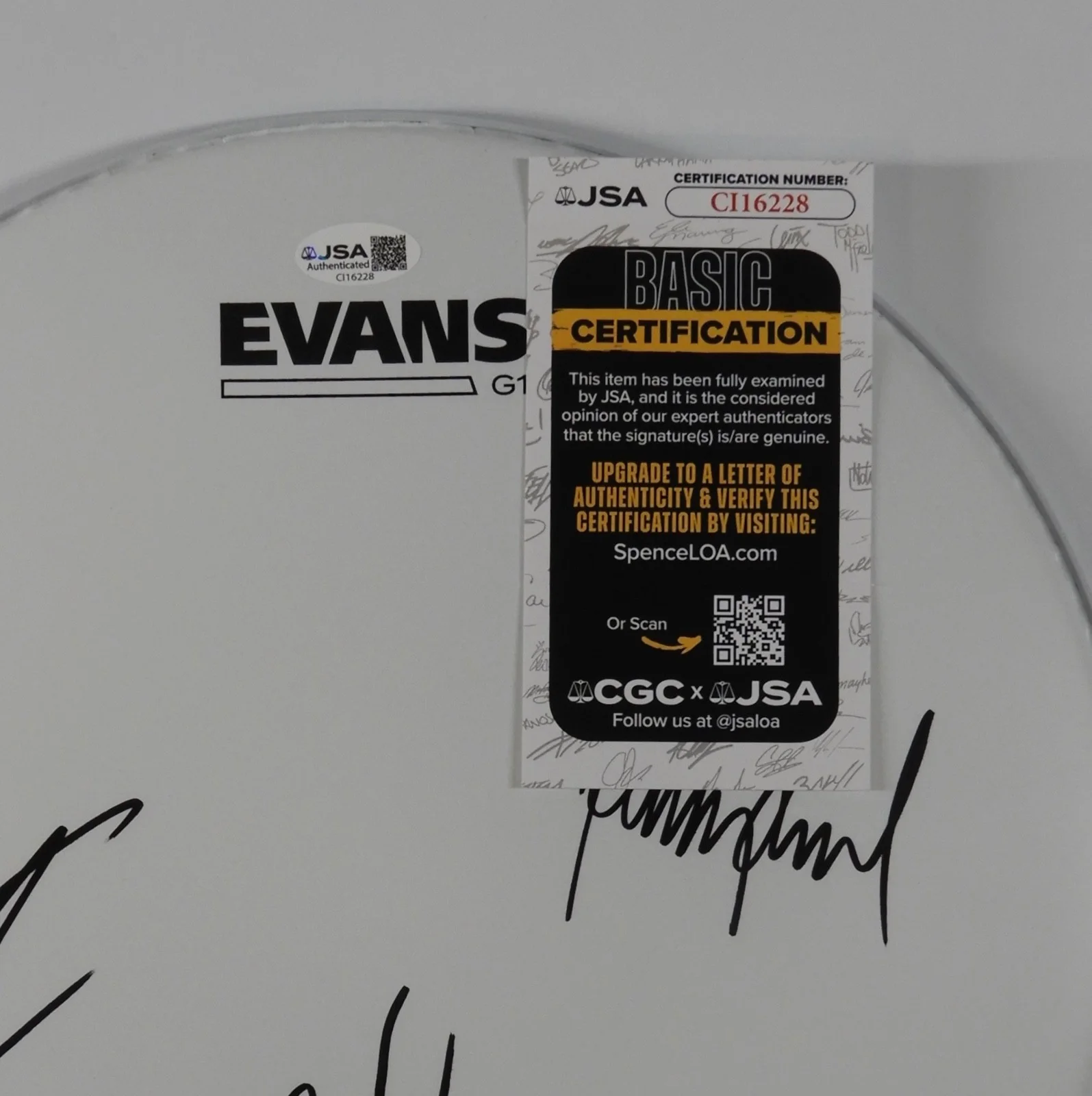 Volbeat JSA Signed Autograph 12" Drum Head Drumhead, image 2