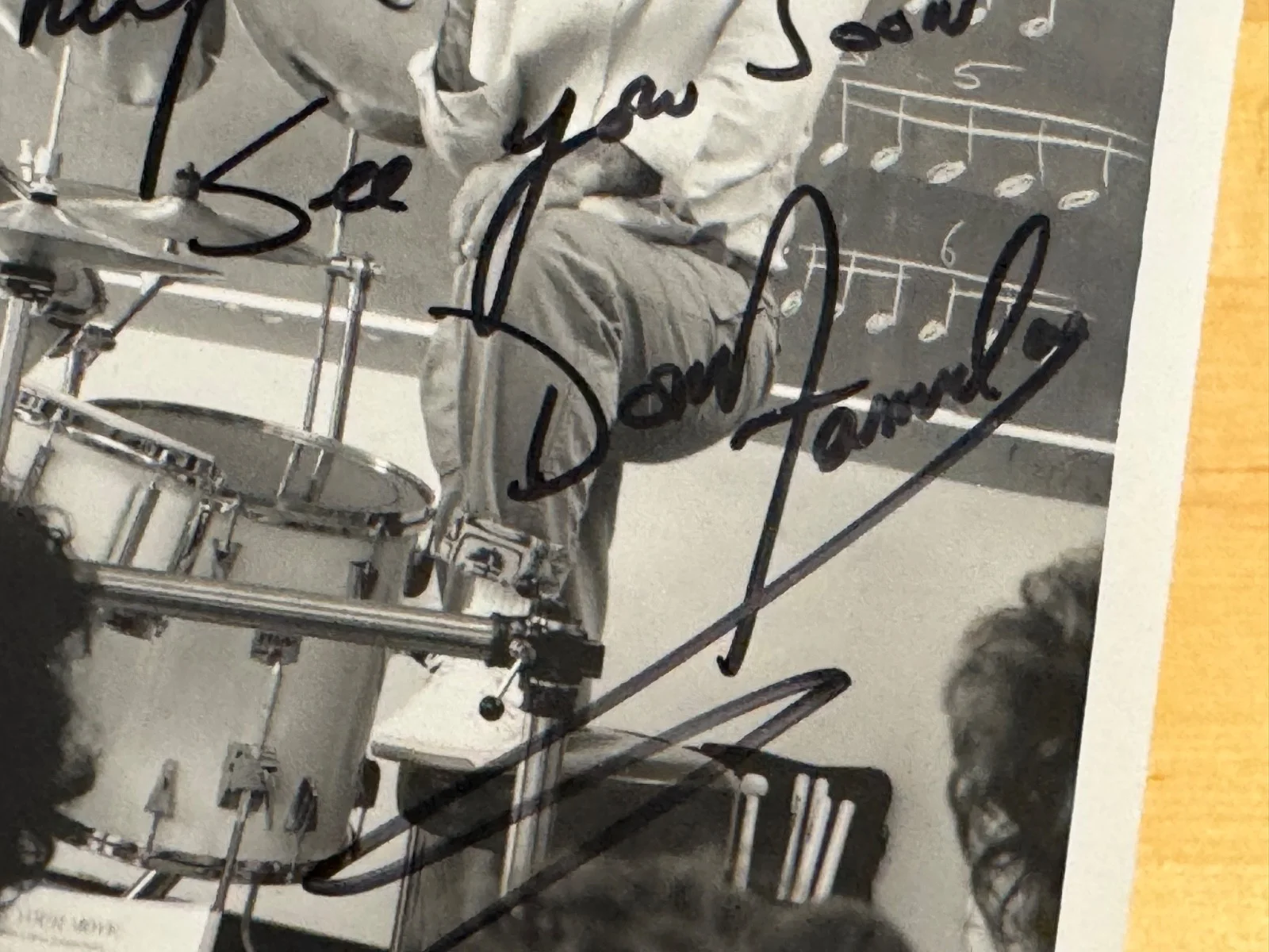 Signed DON FAMULARO 8"x10" TAMA Promo, изображение 2