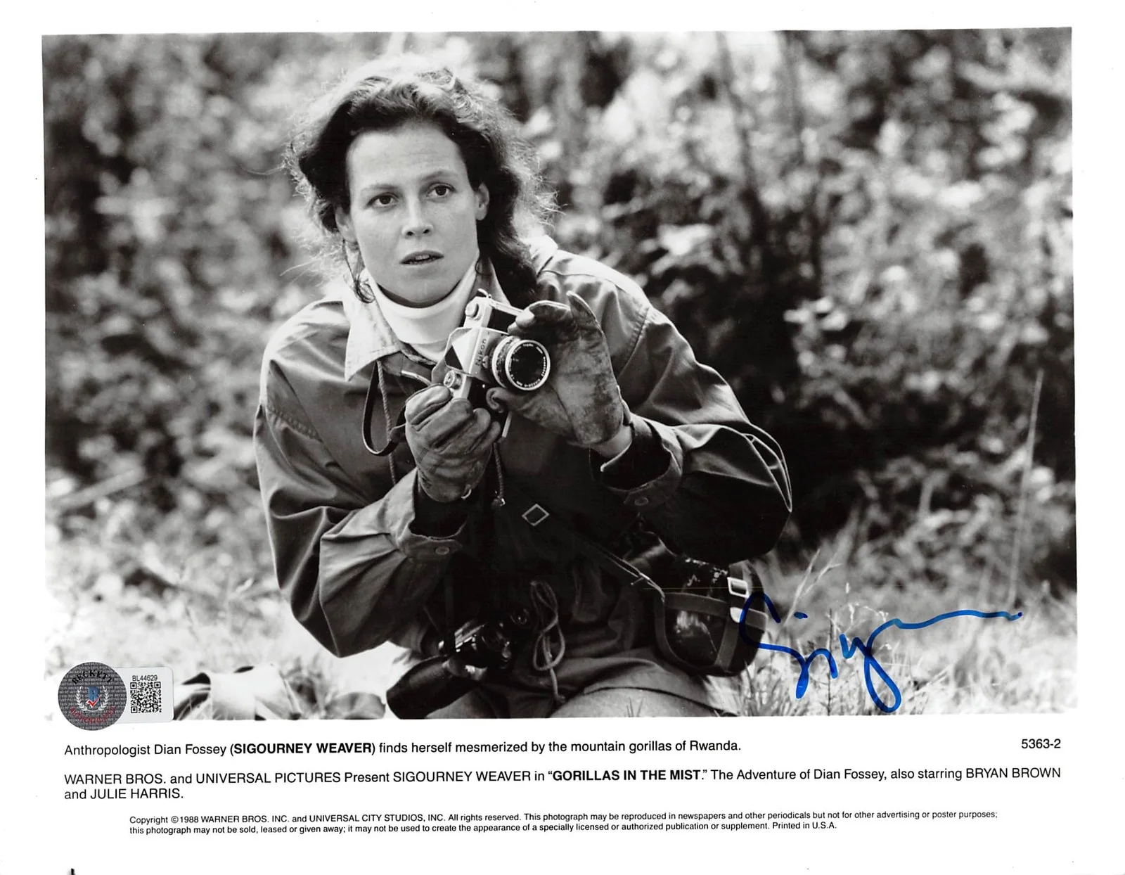 Sigourney Weaver — Sigourney Weaver Gorillas in the Mist Authentic Signed 8x10 Photo BAS #BL44629