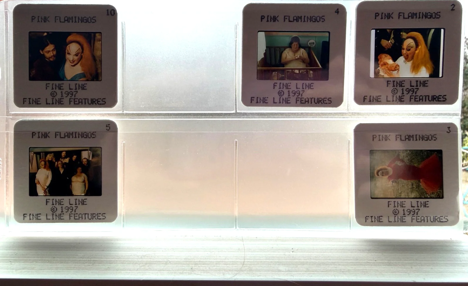 Movie Promo Photos - 1997 Pink Flamingos Lot 3 + Slides, изображение 2