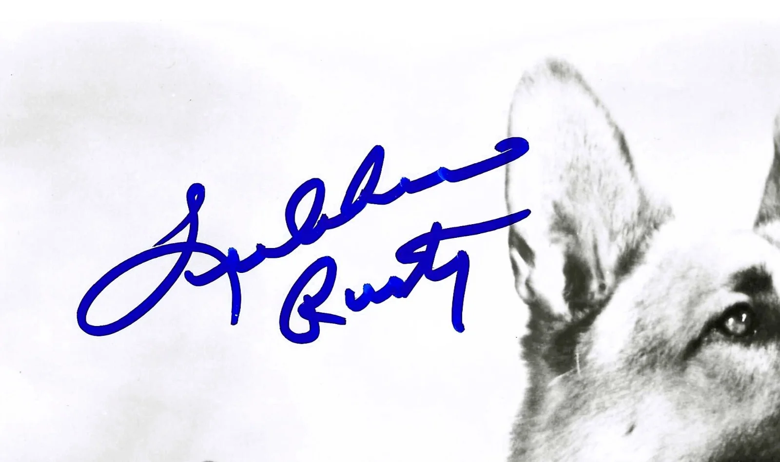 Lee Aaker — RIN TIN TIN Lee Aaker "Rusty" Signed 8x10 ... with UACC COA, image 2