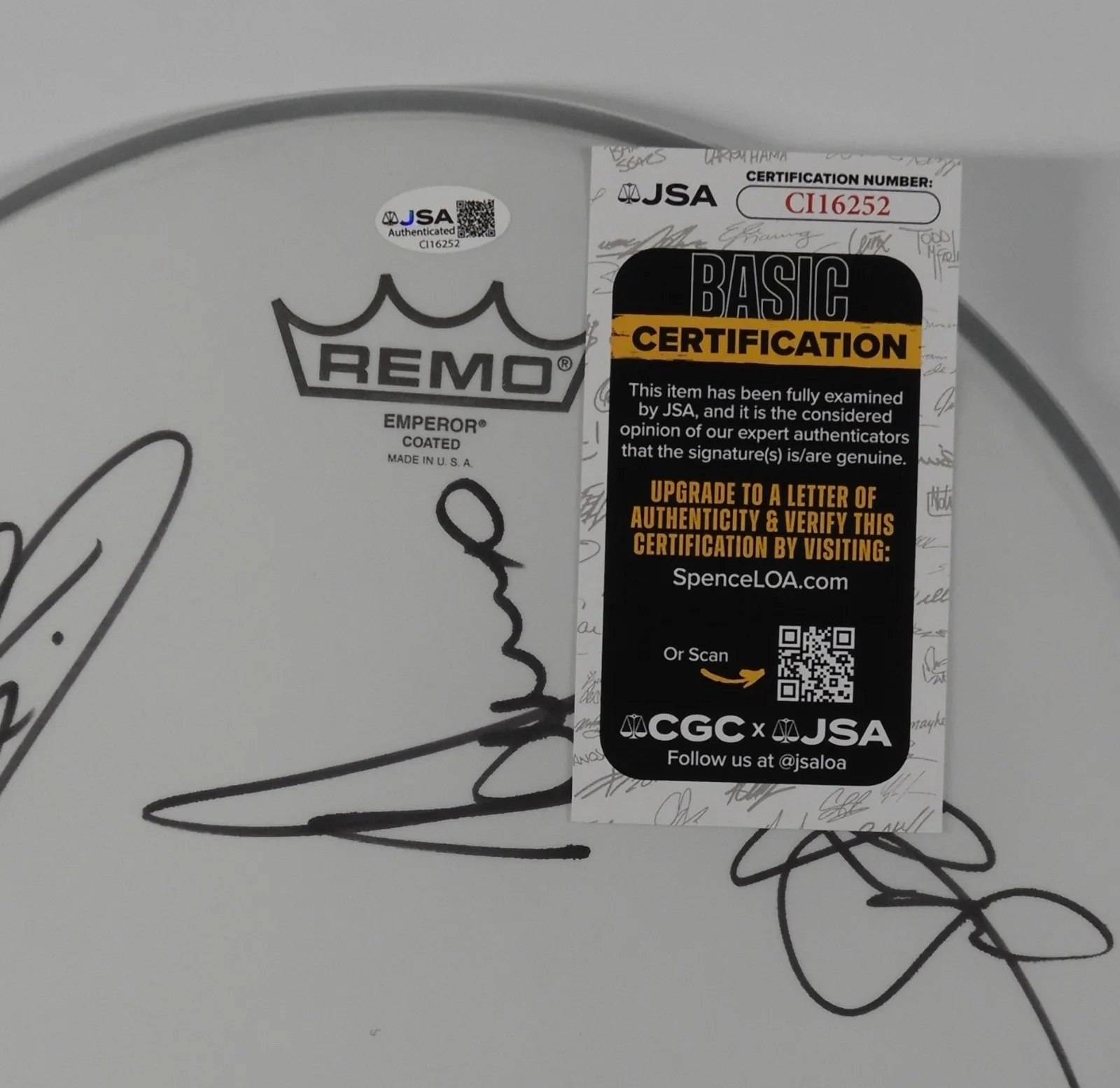 Extreme JSA FULLY Signed Autograph 12" Drum Head drumhead, image 2