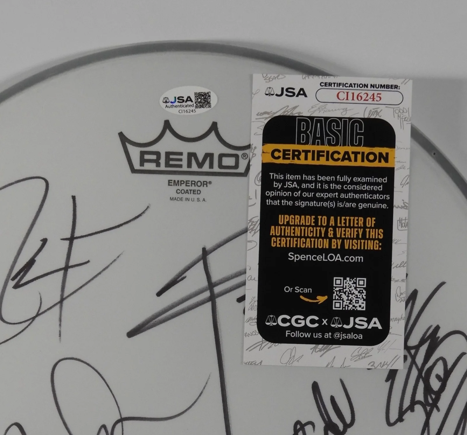 Pantera Signed Autograph Drum Head JSA COA 12" Phil Anselmo +, image 2