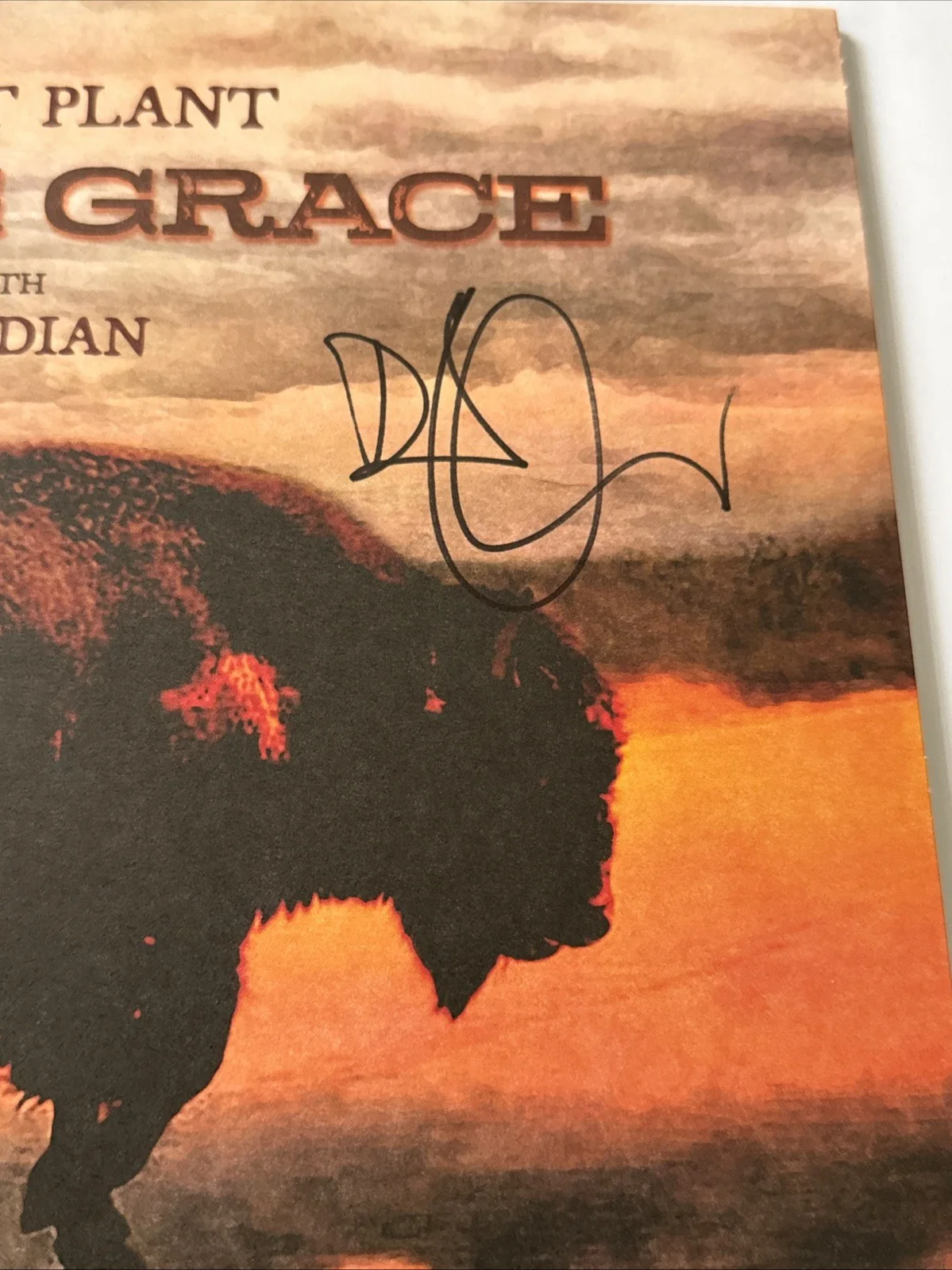 Robert Plant Signed Saving Grace Vinyl Beckett LOA, image 3