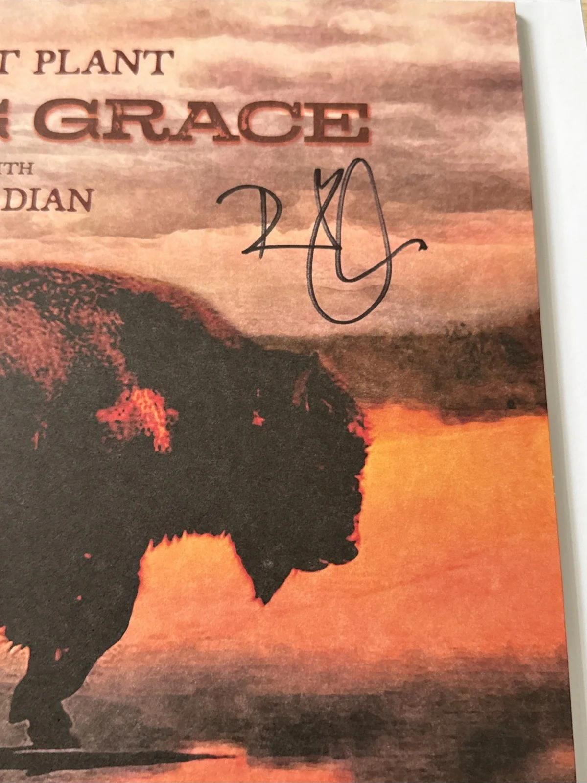 Robert Plant Signed Saving Grace Vinyl Beckett LOA, image 3