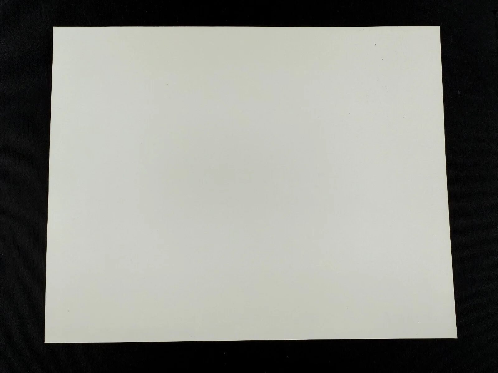 RARE A4 1992 Stop! Or My Mom Will Shoot B/W Press Scene Print (Estelle Getty), изображение 2