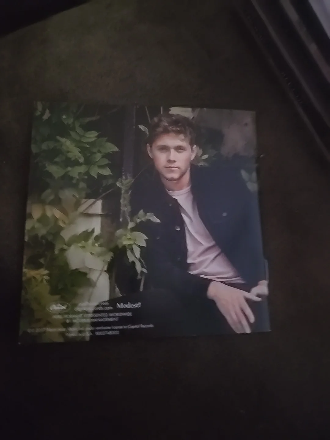 Niall Horan - Flicker Signed Album CD Booklet Autographed (BOOKLET ONLY), image 2