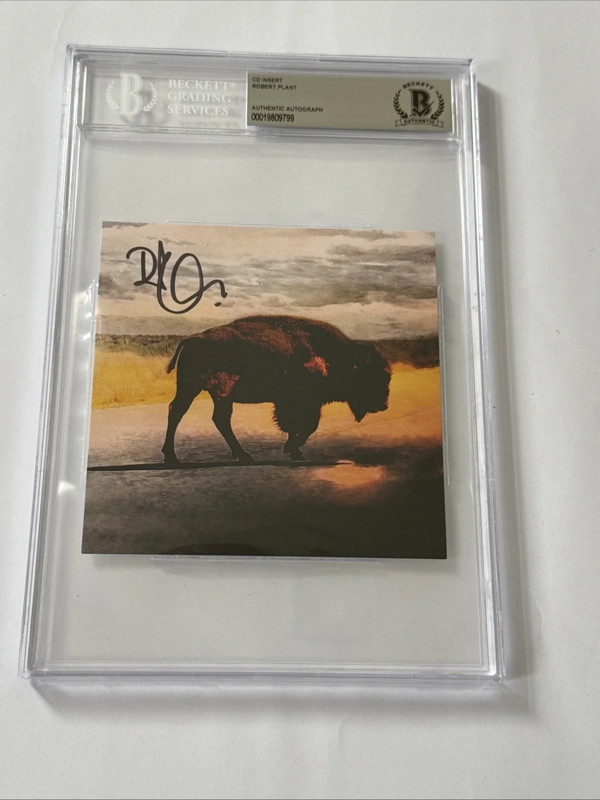 Robert Plant Of Led Zeppelin Signed Saving Grace CD Insert BGS Beckett Slab, image 2