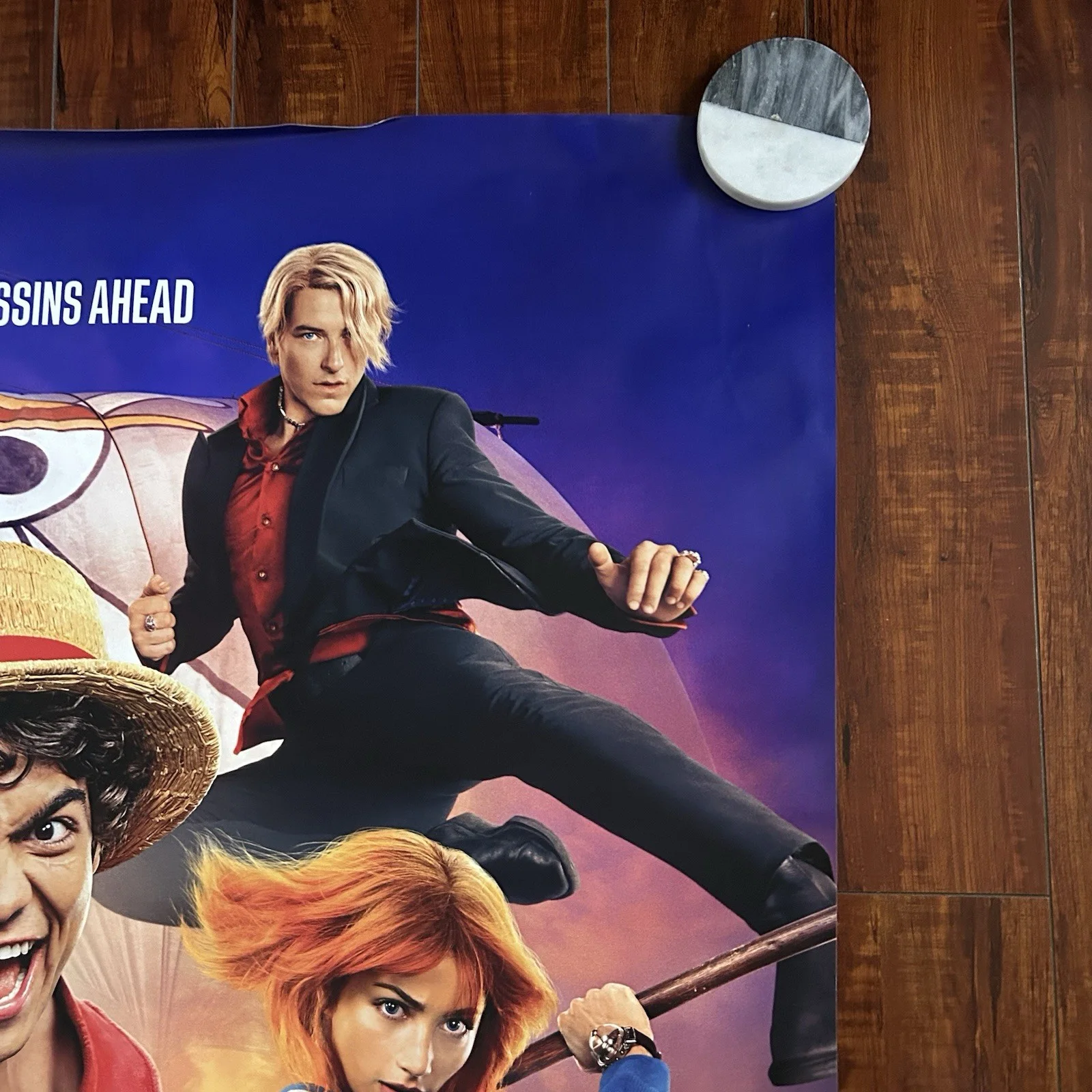 Emily Rudd — One Piece Into The Grand Line (2026 ) 48x70 In, изображение 5