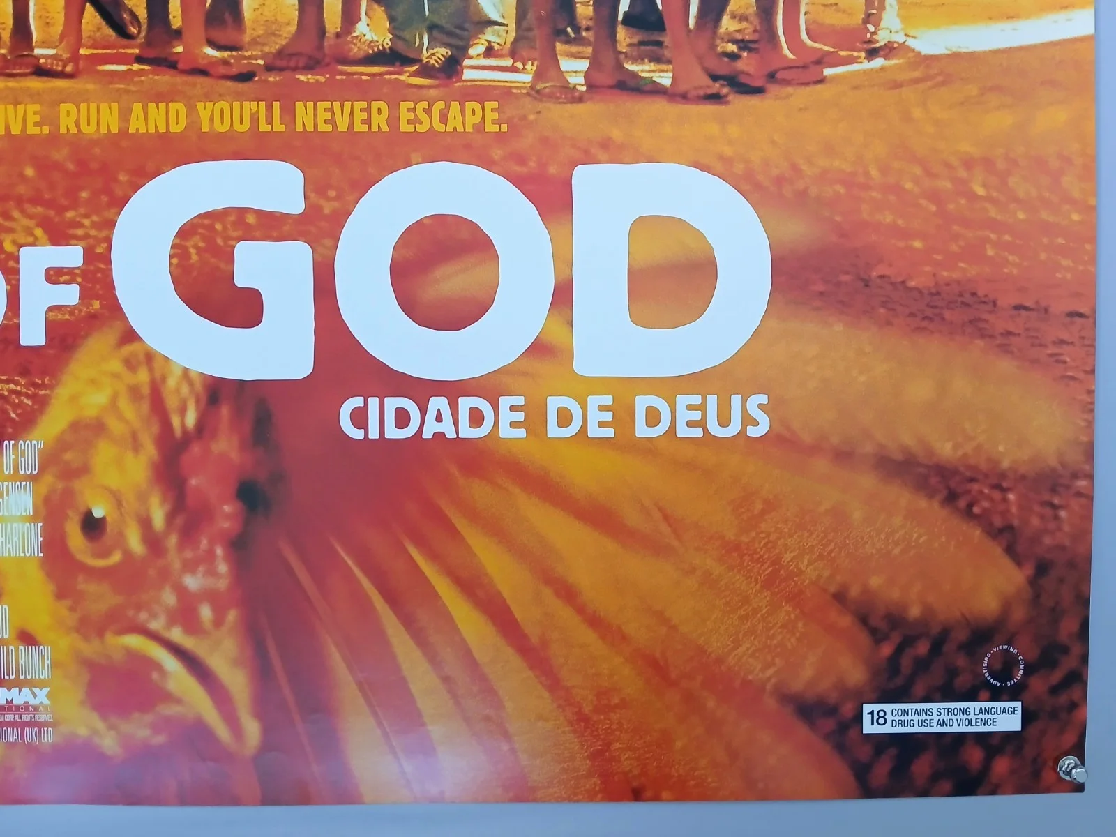 CITY OF GOD (CIDADE DE DEUS) (2002) double-sided original UK quad poster, image 5
