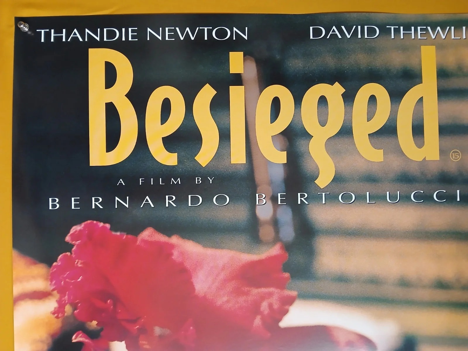 BESIEGED (1999) original UK quad poster - Bertolucci, Thandie Newton, image 2