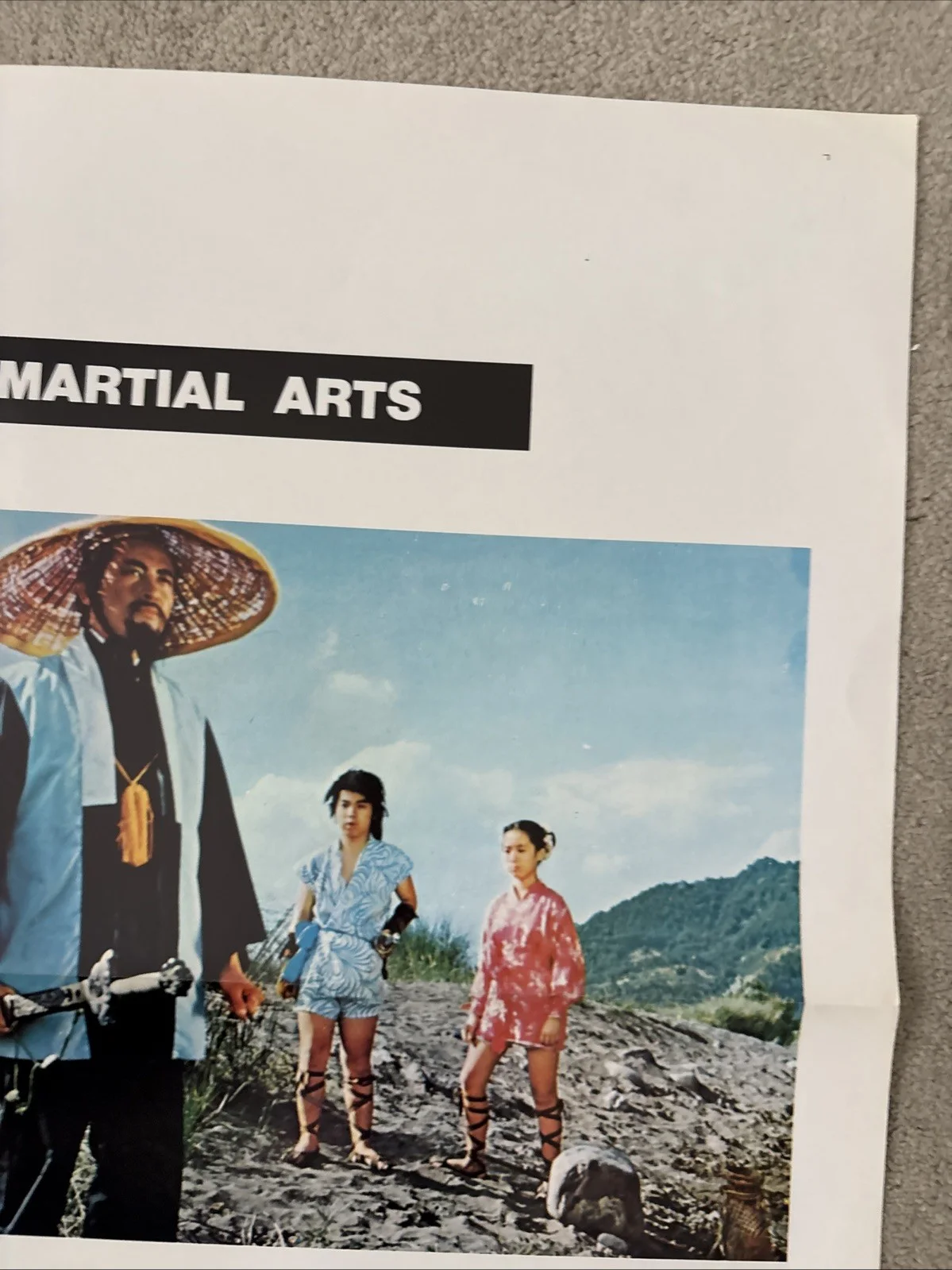 Kung-Fu Kids (1980) Original US One Sheet Movie Poster, изображение 4
