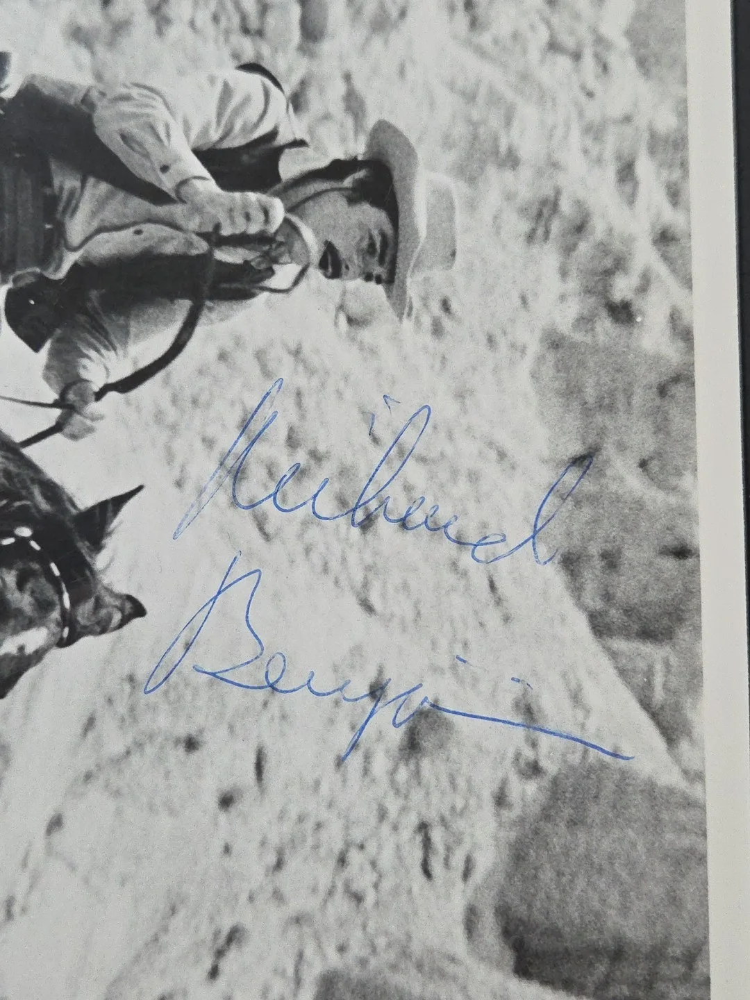 Richard Benjamin, Paula Prentiss — Vintage 1973 Westworld Richard Benjamin & Paula Prentiss Dual Signed Press Photo, изображение 3