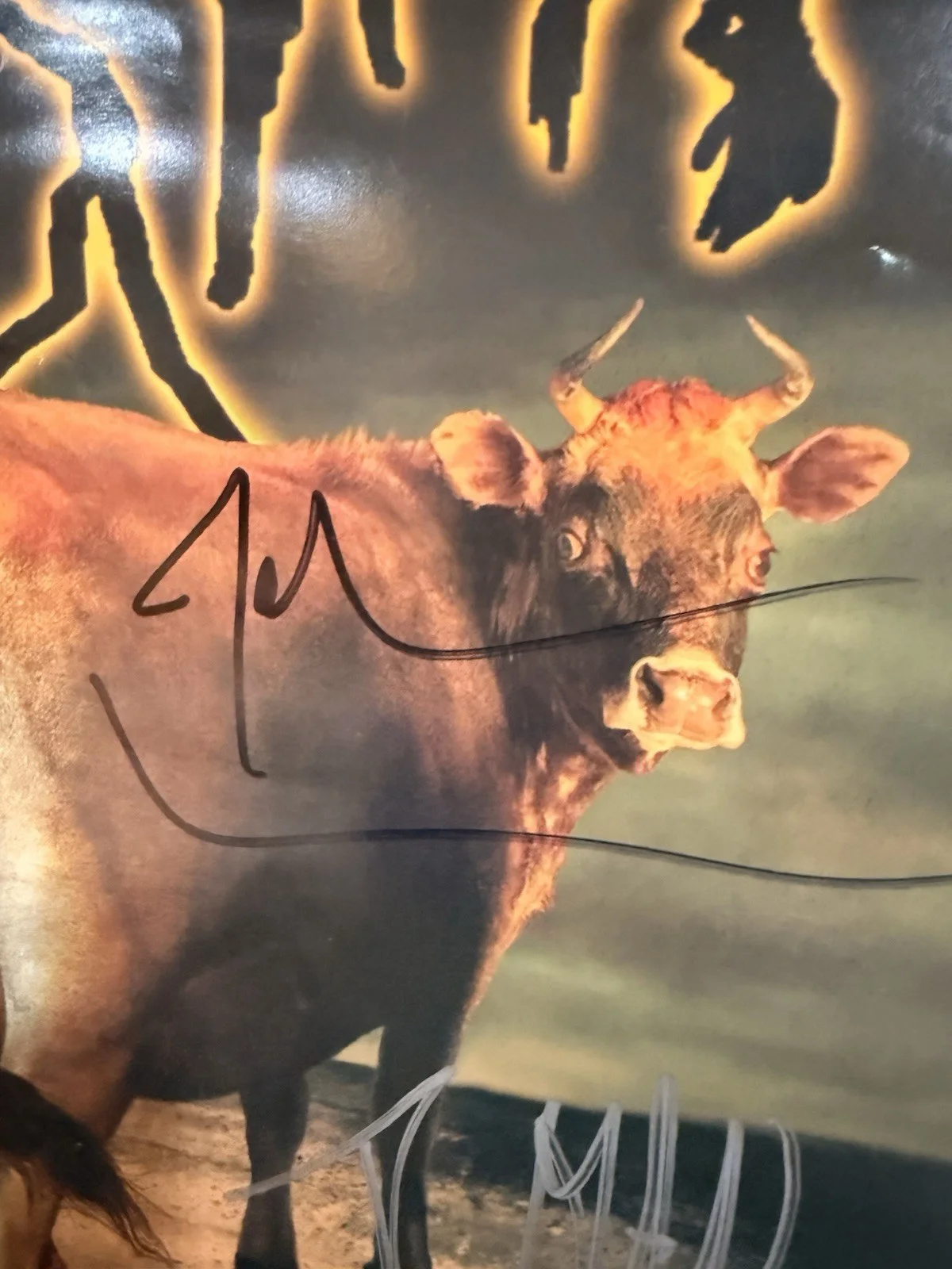 Cattle Decapitation 2004 “Humanure” Signed and Authenticated Poster JSA LOA, image 3