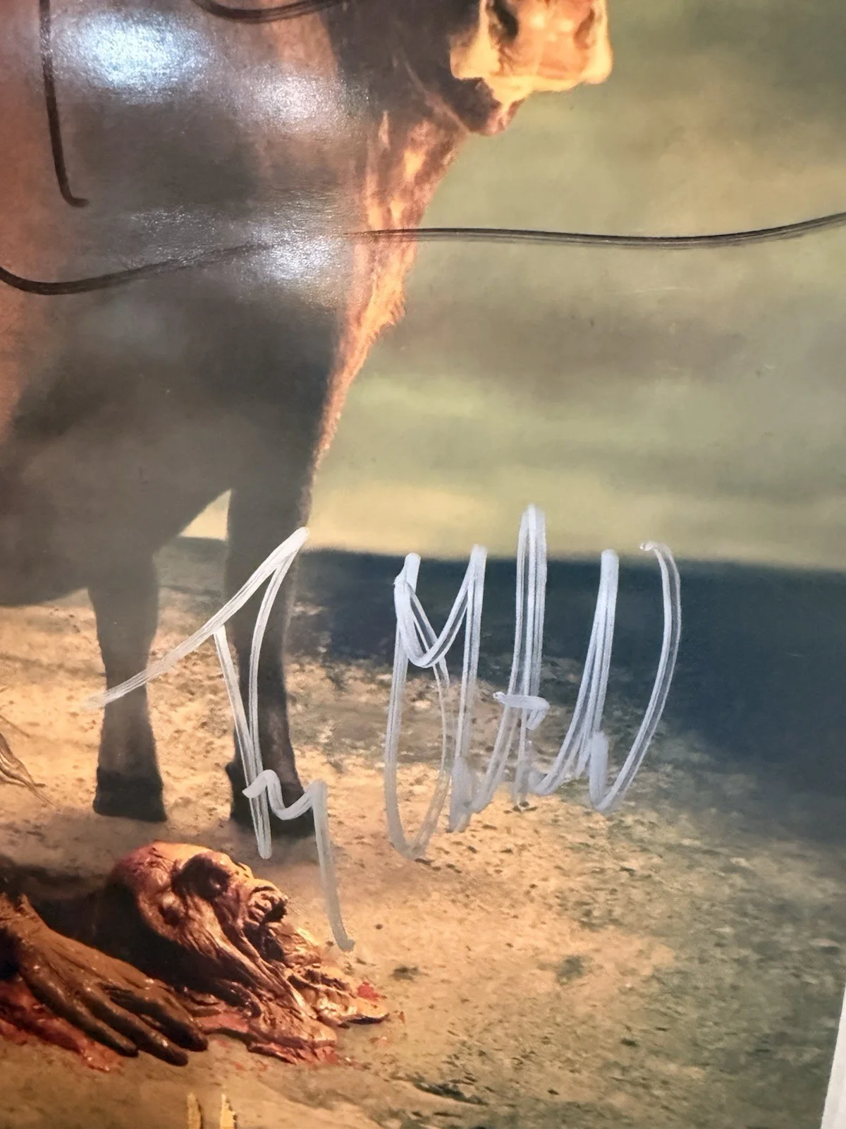 Cattle Decapitation 2004 “Humanure” Signed and Authenticated Poster JSA LOA, image 4