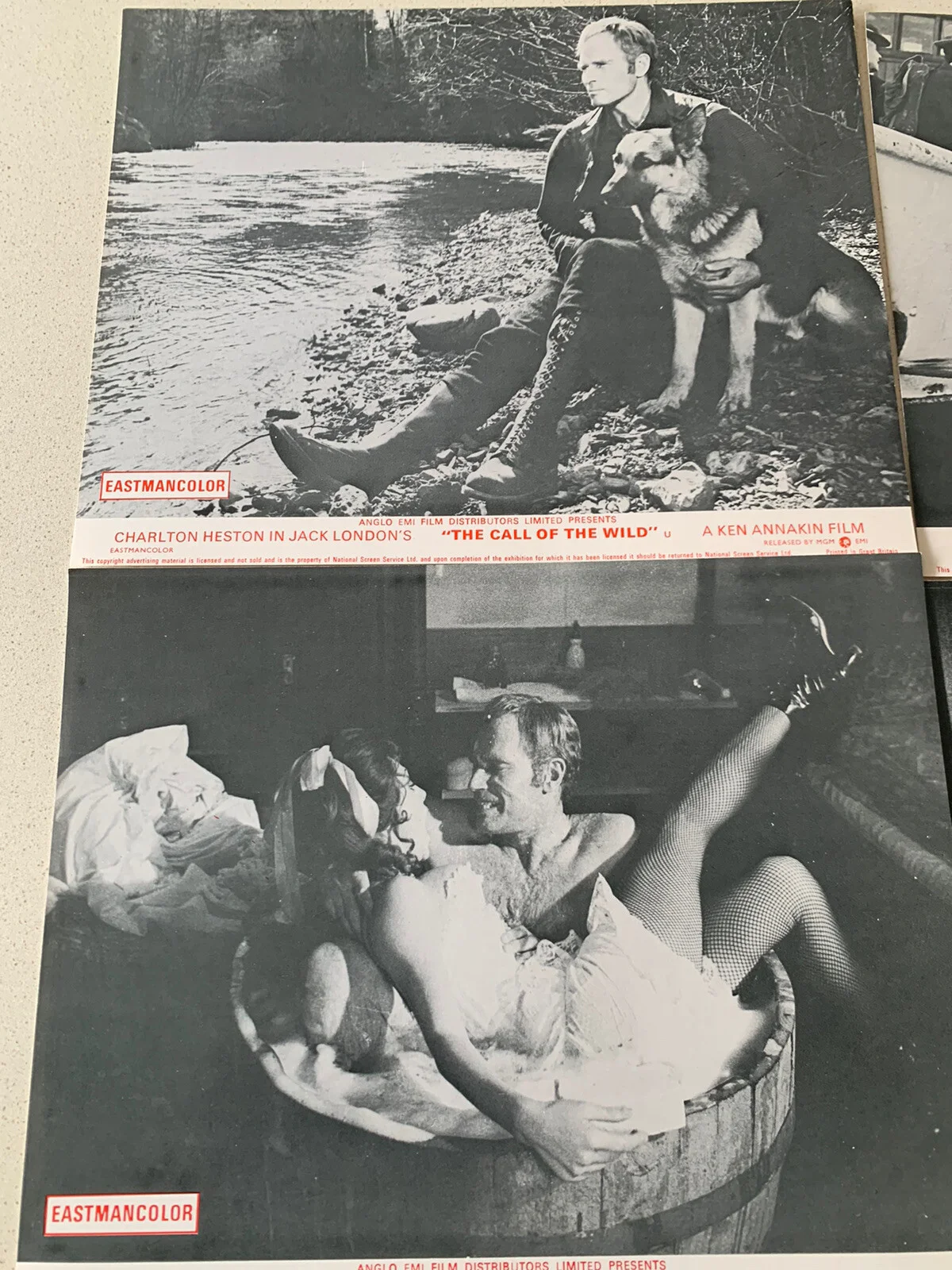 Call of the Wild 1972 - Charlton Heston lobby Card 10 x 8 1972 Set of 7 London, изображение 2