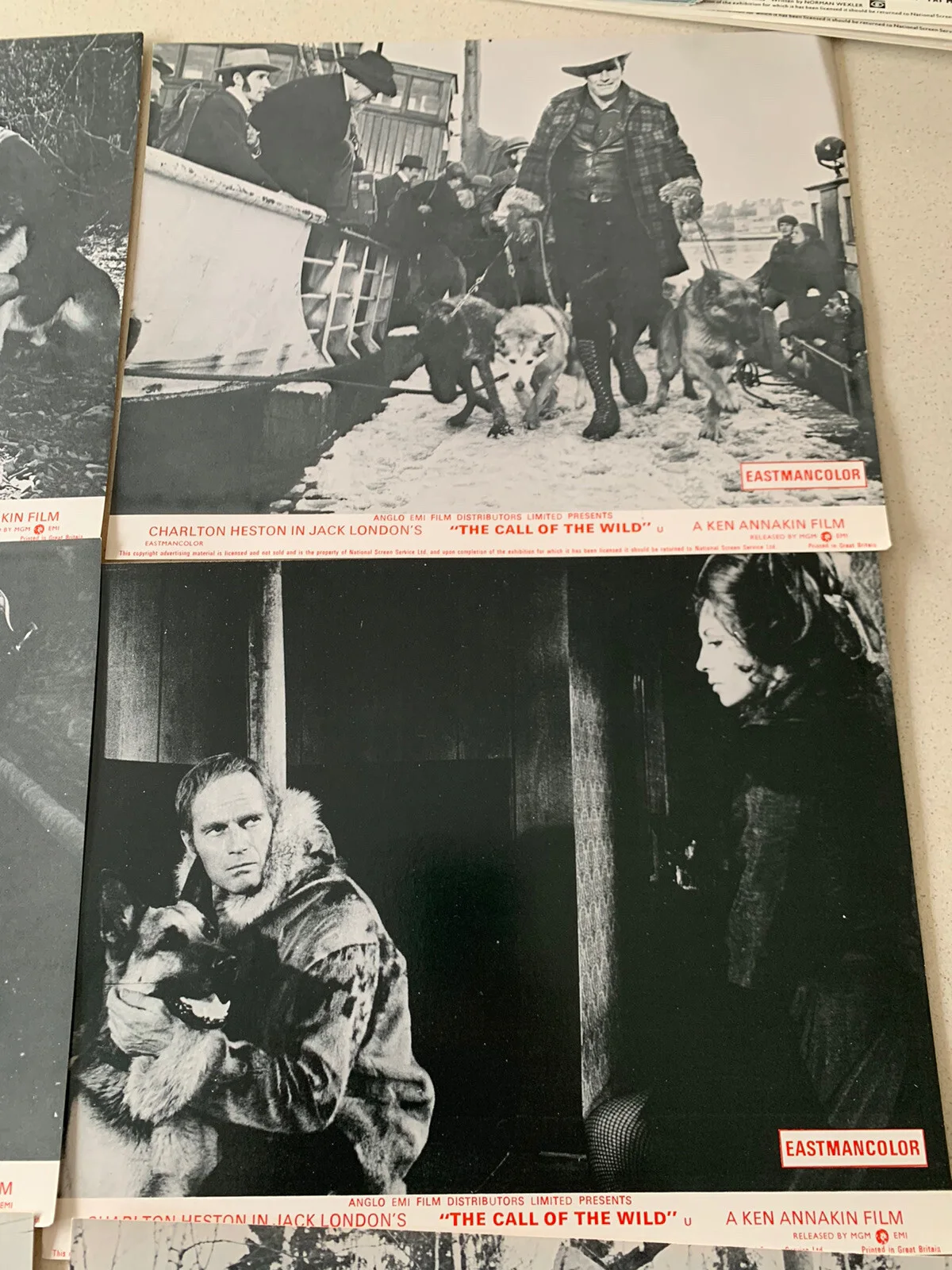 Call of the Wild 1972 - Charlton Heston lobby Card 10 x 8 1972 Set of 7 London, изображение 3