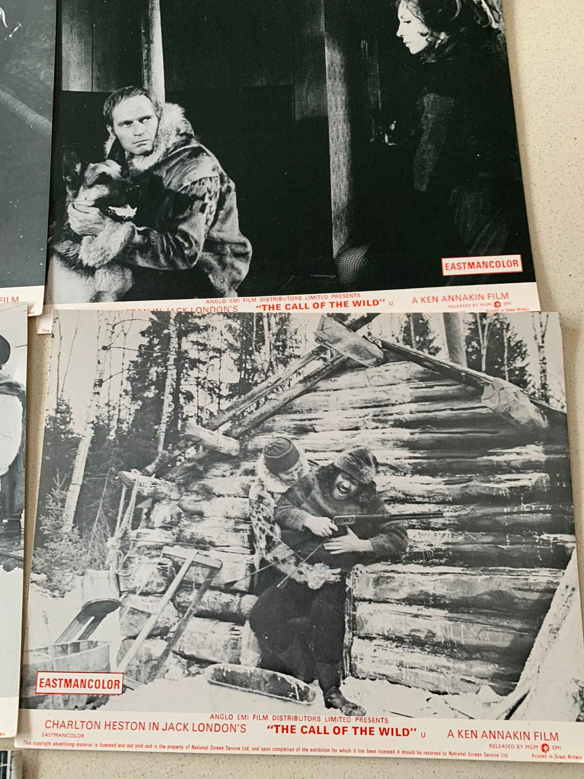 Call of the Wild 1972 - Charlton Heston lobby Card 10 x 8 1972 Set of 7 London, изображение 5