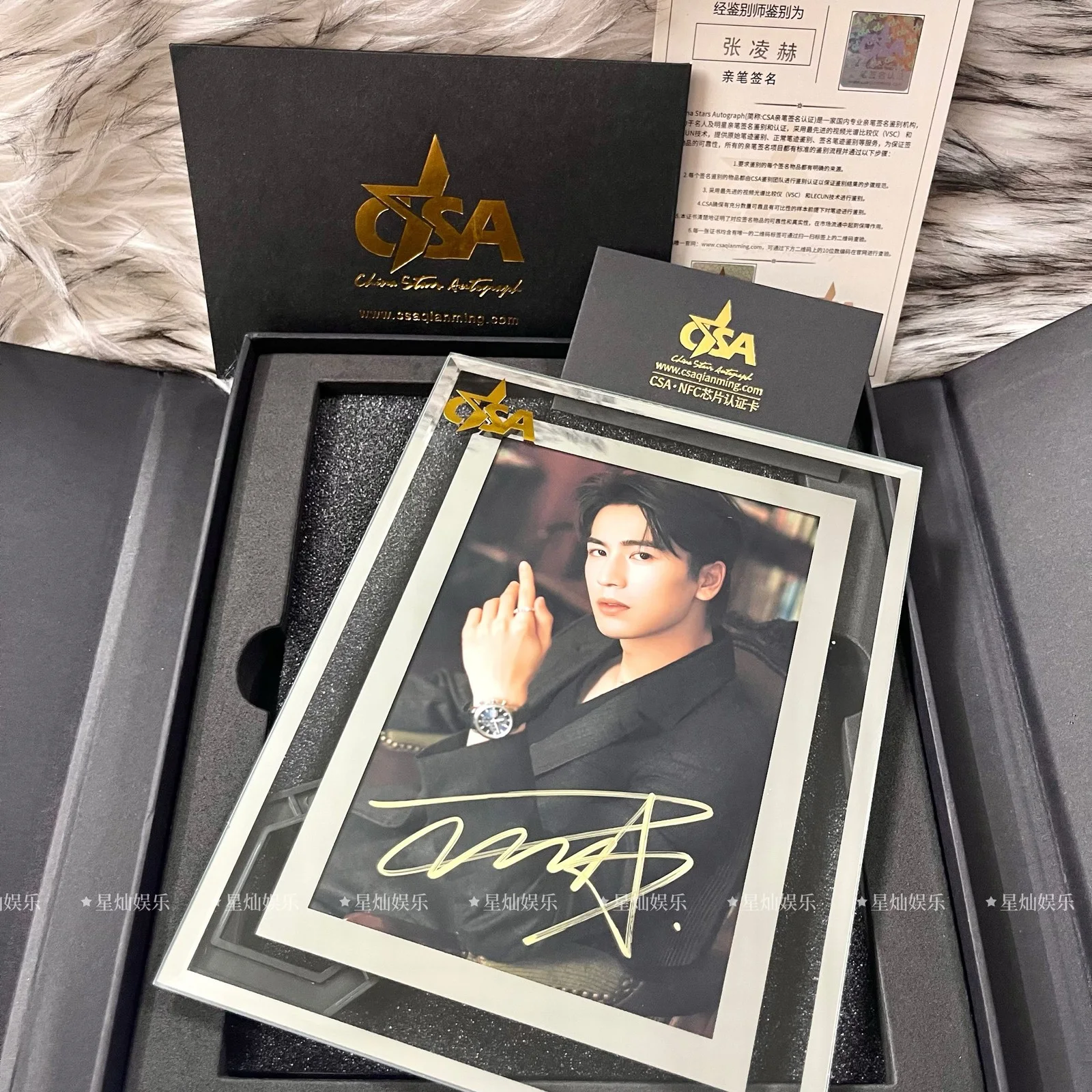 Fidelity Zhang Linghe CSA Signature Photo Advanced Photo Frame Certification Cer, изображение 2
