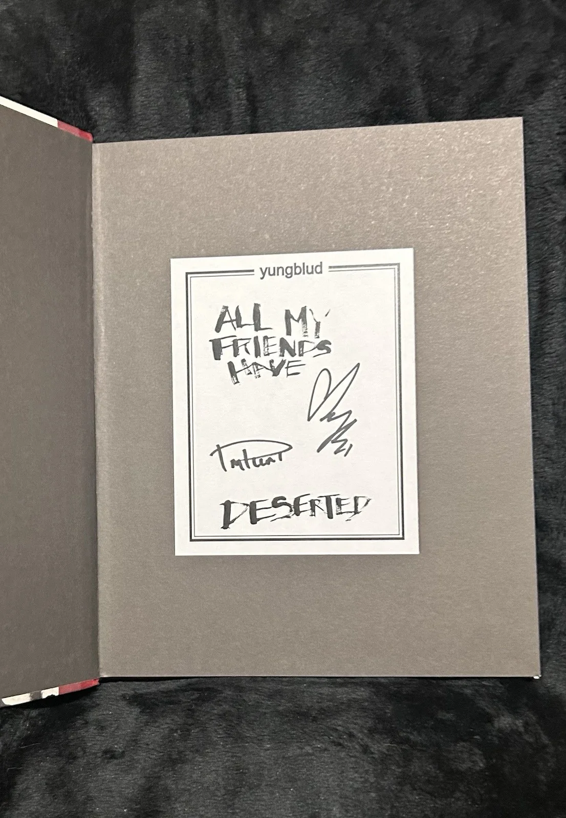 All My Friends Have Deserted: Signed By Both YUNGBLUD & Tom Pallant Photographer, изображение 3
