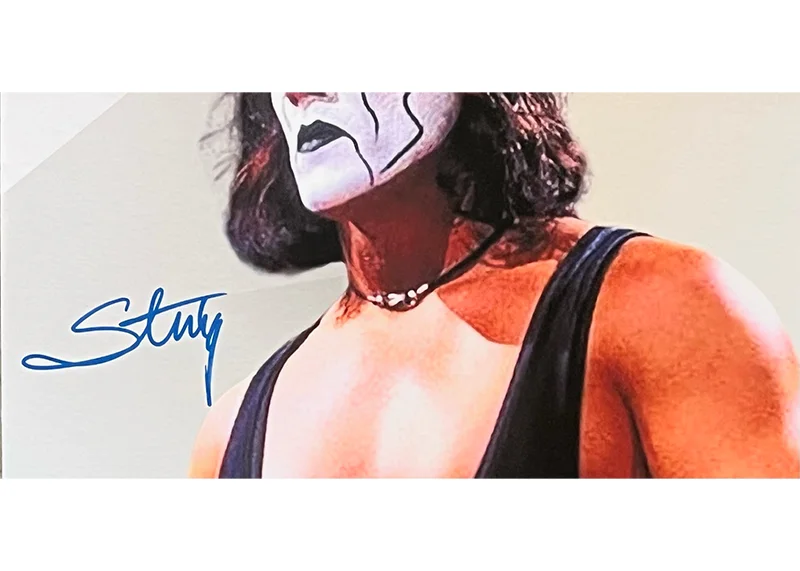 Sting Signed 18x24 Photo Board - Autographed JSA COA, image 2
