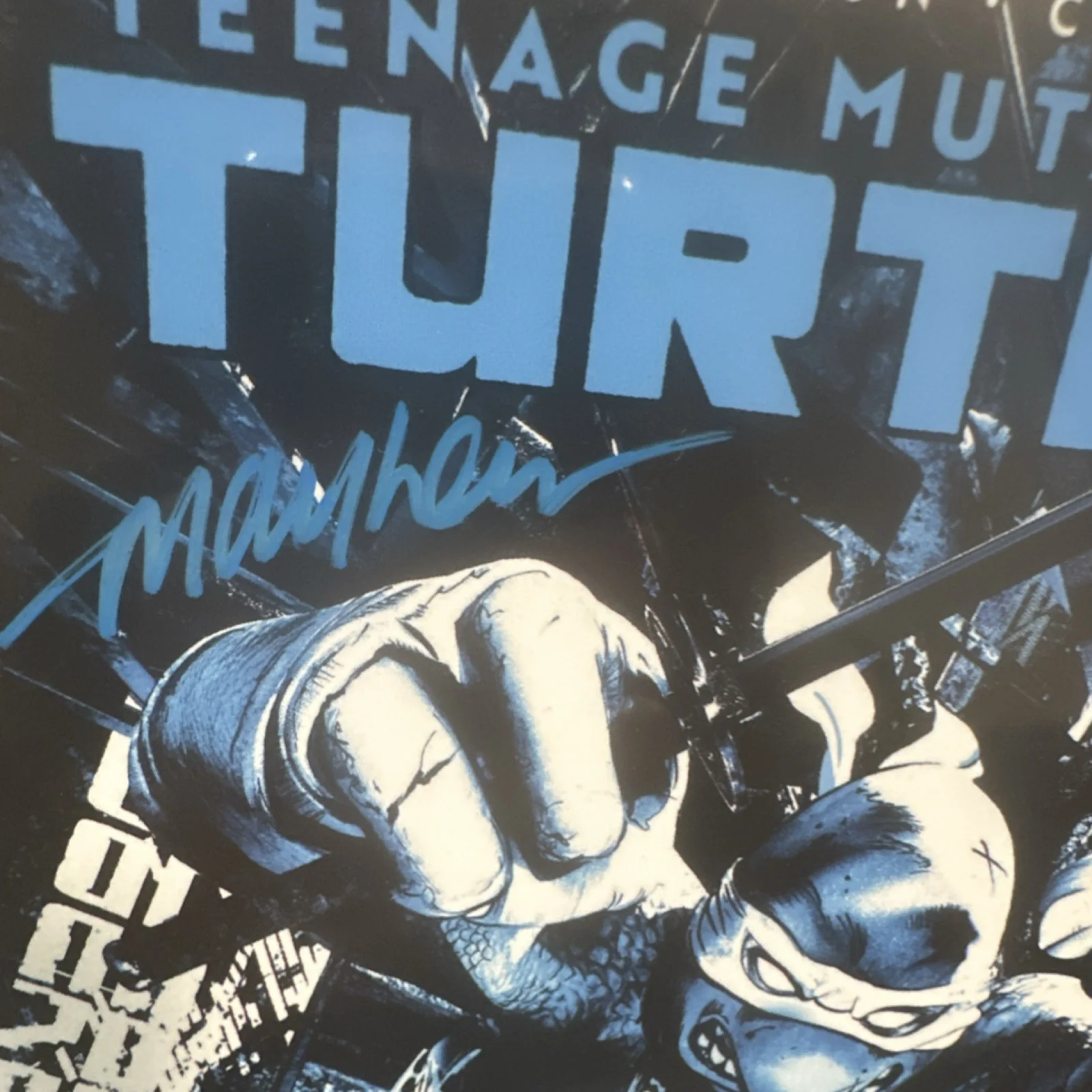 Mike Mayhew — Cover Signed by Mike Mayhew COA bTeenage Mutant Ninja Turtles #3 25 Anniversary, изображение 2