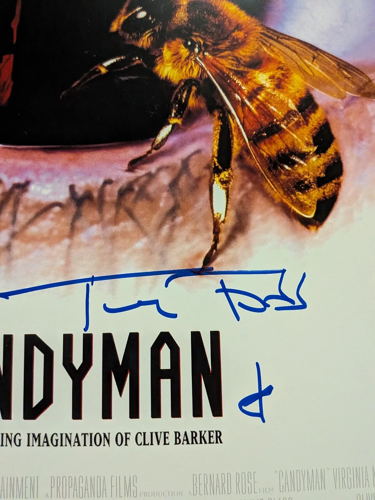 TONY TODD Signed Candyman 11x17 Movie Poster Autograph Beckett BAS COA Bbu RARE, изображение 2