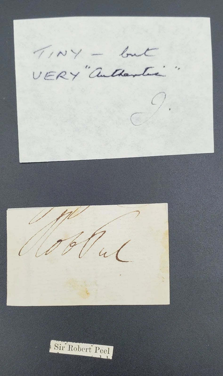 Sir Robert Peel Hand autographed, small cut square. Authentic, image 4