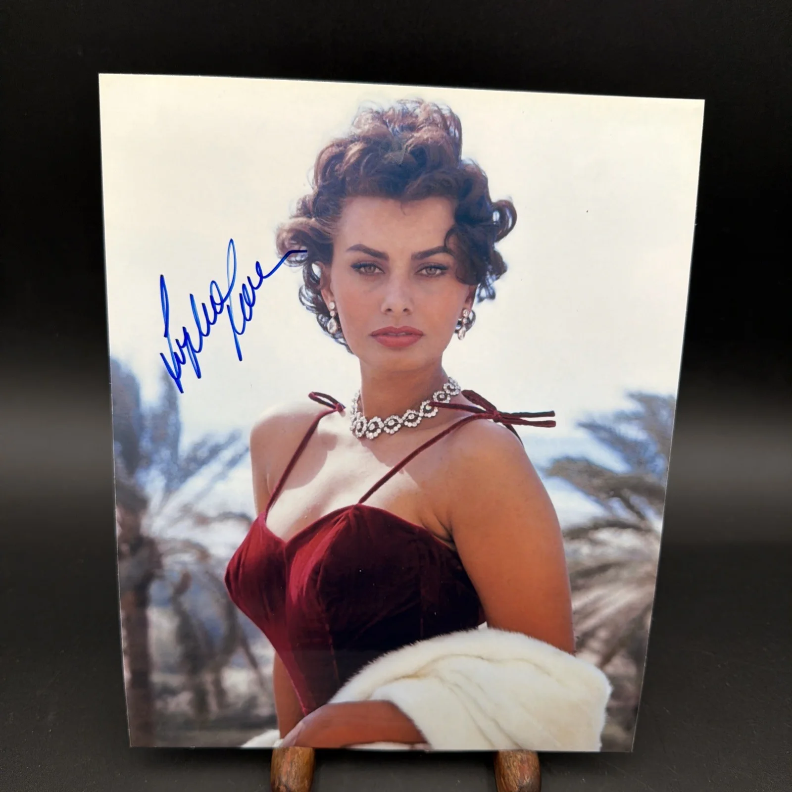 Sophia Loren — SOPHIA LOREN SIGNED 8x10 AUTOGRAPHED PHOTO w/ COA, изображение 2