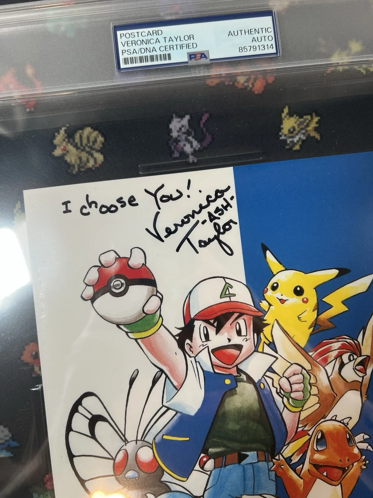 Pokemon Postcard Autograph Veronica Taylor PSA Authentic, image 2