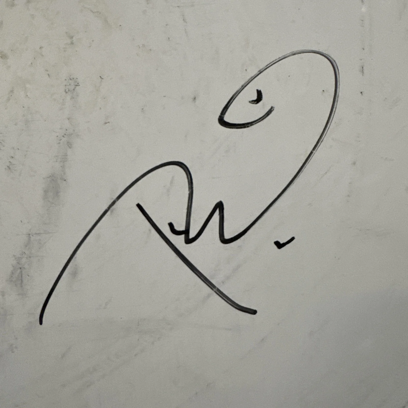 Journey Autographed 16 Inch Drum Head Concert Used 03-05 ￼, изображение 4