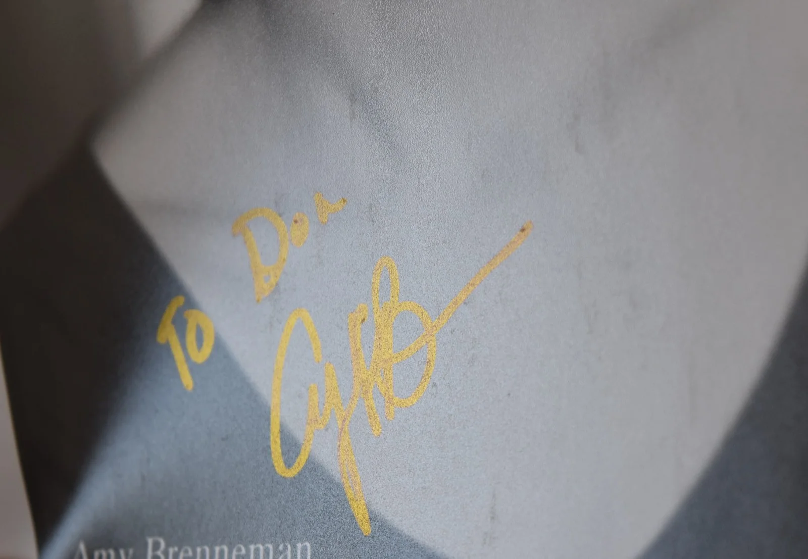 Amy Brenneman Hand Signed Original Photo 8"X10", image 3