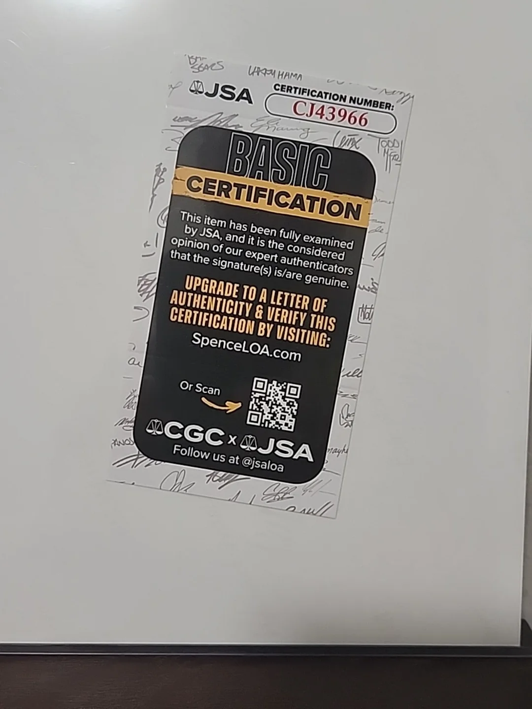 Brianna Knickerbocker — Autógrafo assinado 8x10 BRIANNA KNICKERBOCKER Kanao Tsuyuro Demon Slayer JSA CERTIFICADO DE AUTENTICIDADE, изображение 4