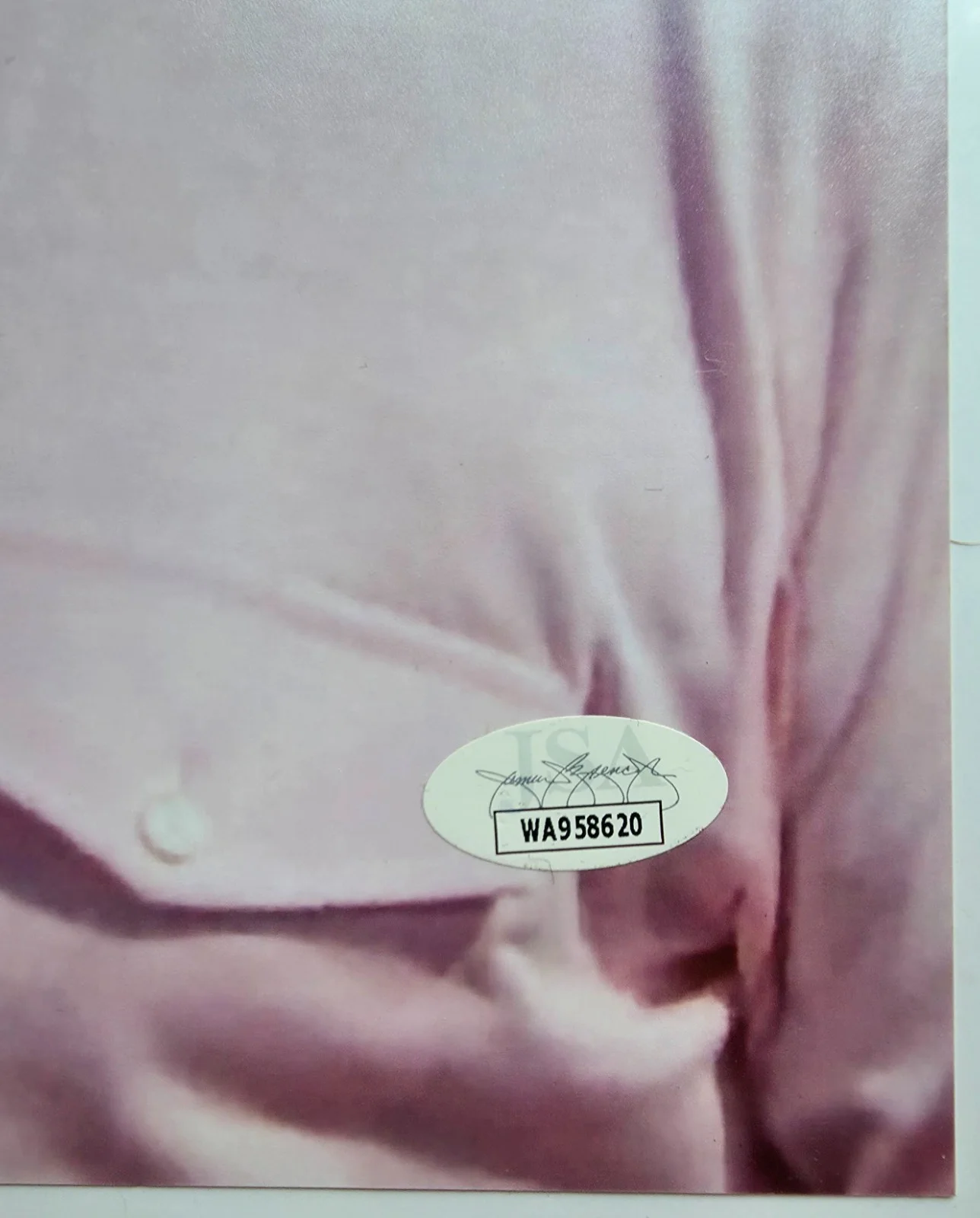 Cindy Morgan — Cindy Morgan Signed Auto 11x14 Photo Caddyshack JSA Sticker COA, image 4
