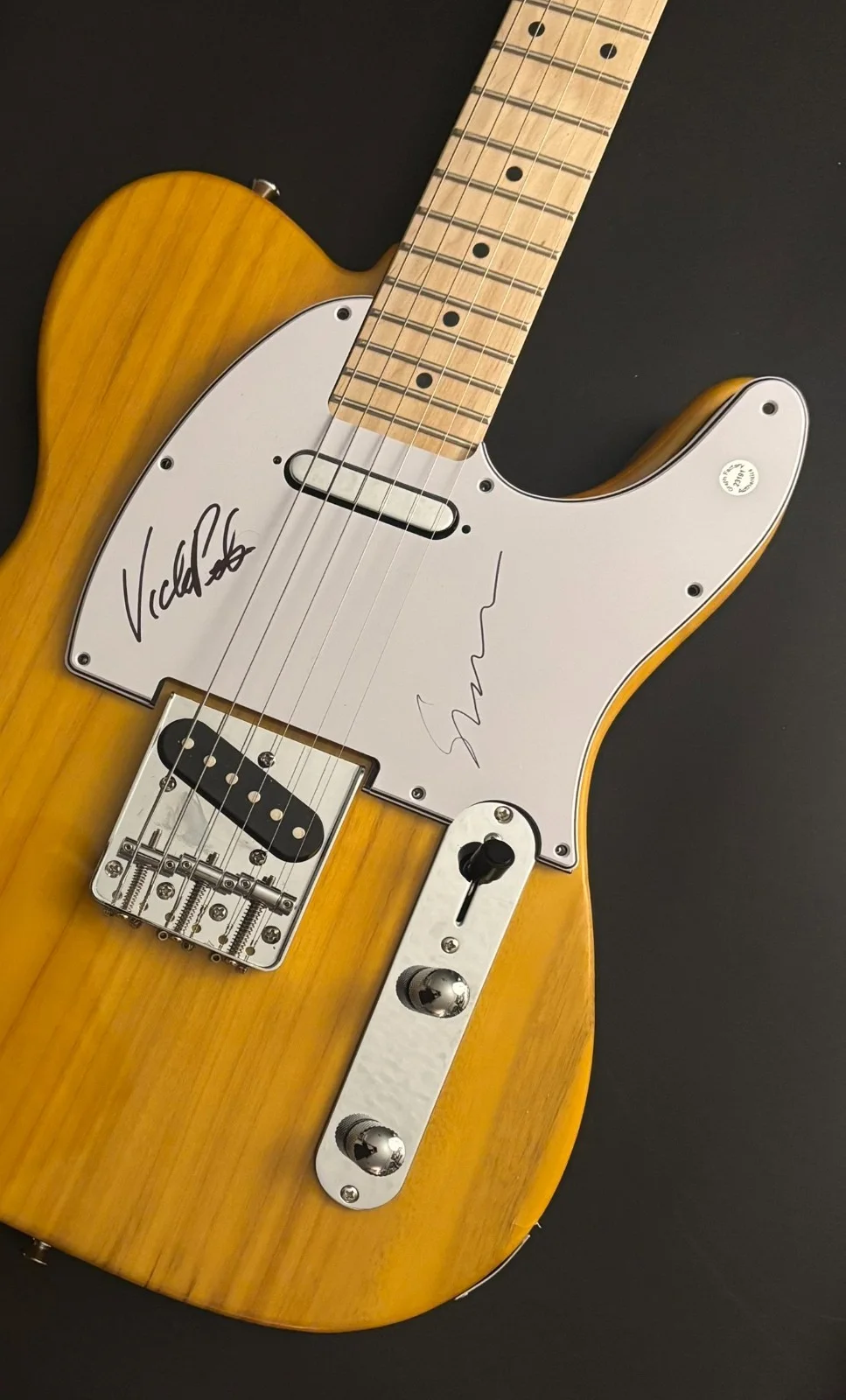 GFA Susanna Hoffs & Vicki Peterson * THE BANGLES * Signed Electric Guitar COA, image 3