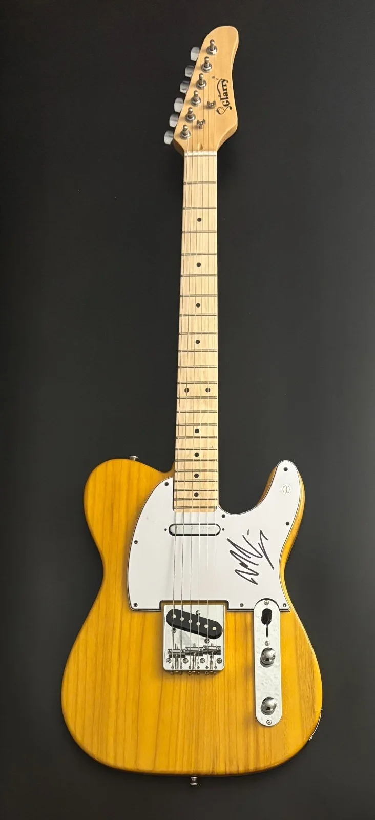 GFA Wildflowers & Wine Star * MARCUS KING * Signed Electric Guitar COA, изображение 2